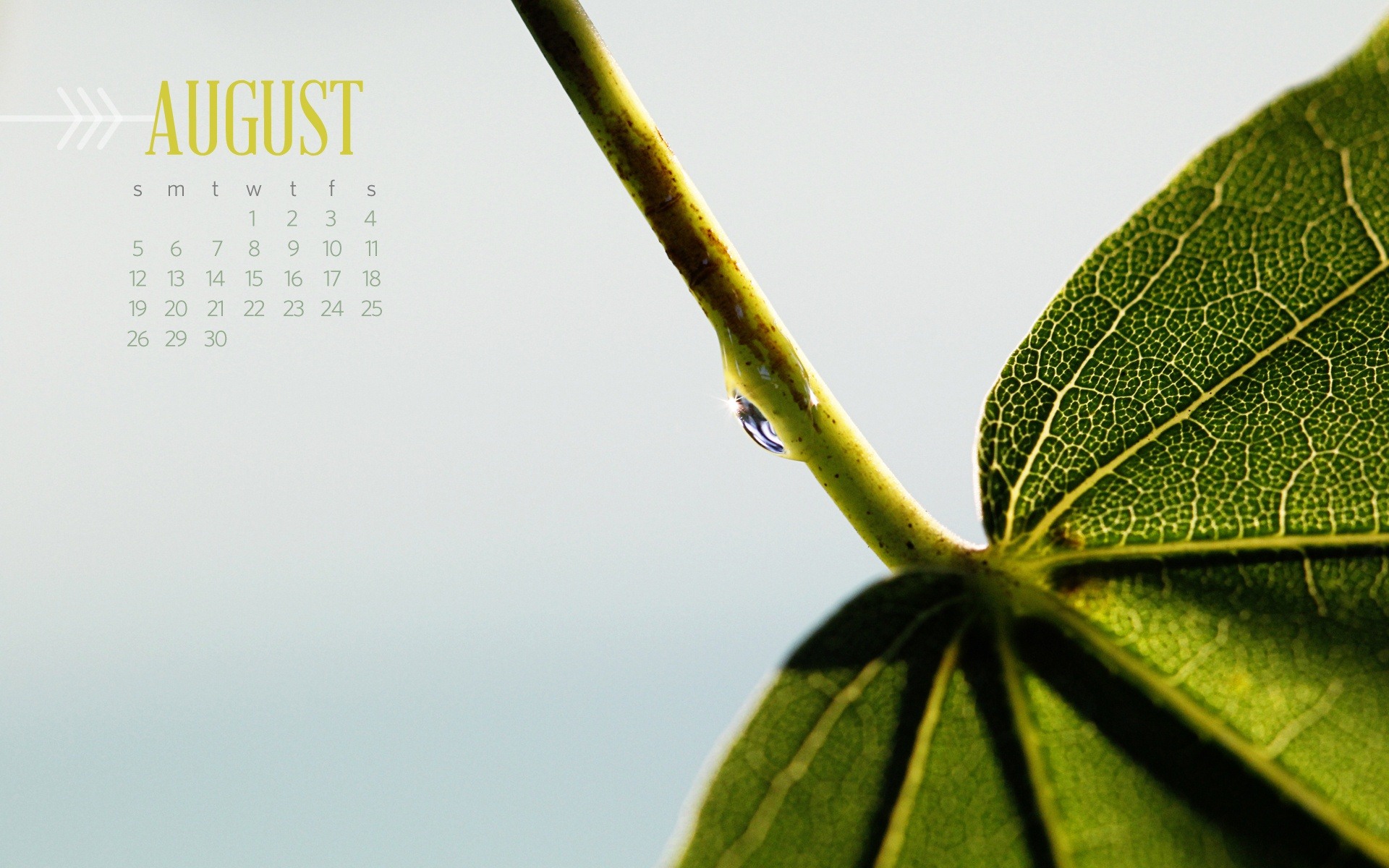 2012年8月 月曆壁紙(二) #7 - 1920x1200