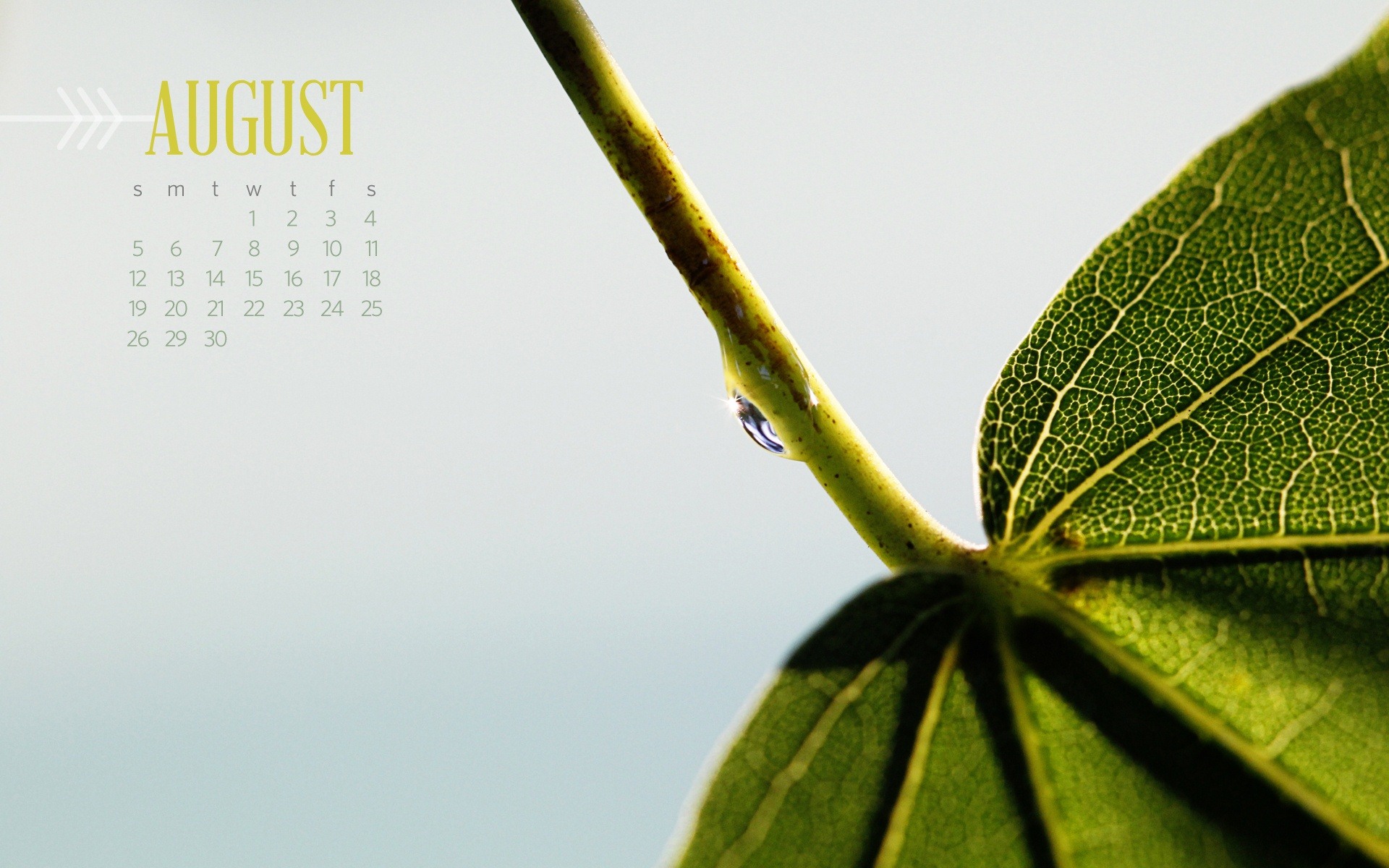 August 2012 Calendar wallpapers (2) #7 - 1920x1200