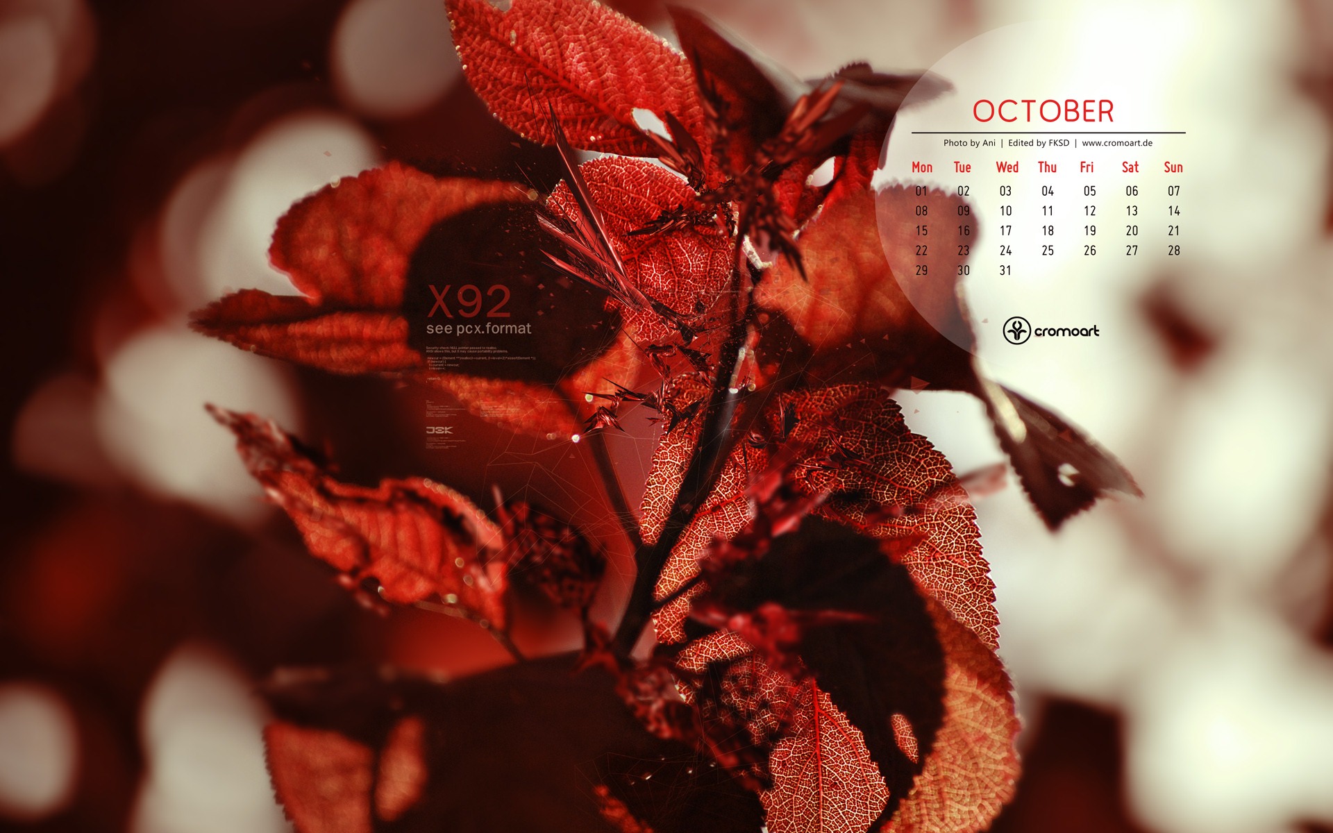 2012年10月 月曆壁紙(二) #20 - 1920x1200