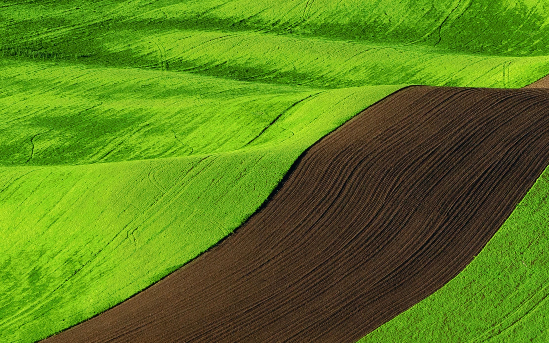 Windows 8 RTM版 官方高清壁紙 #7 - 1920x1200