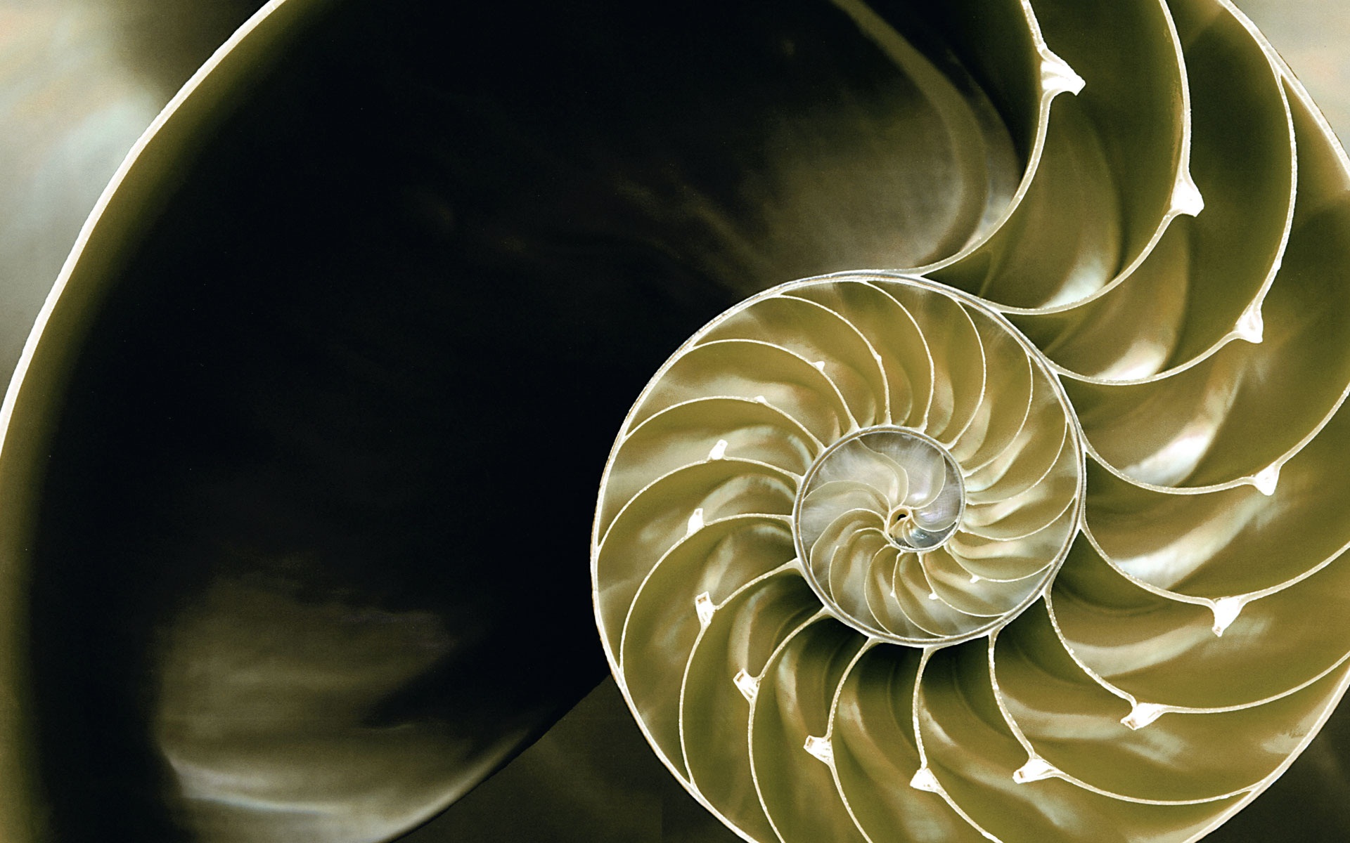 Windows 8 RTM版 官方高清壁紙 #18 - 1920x1200