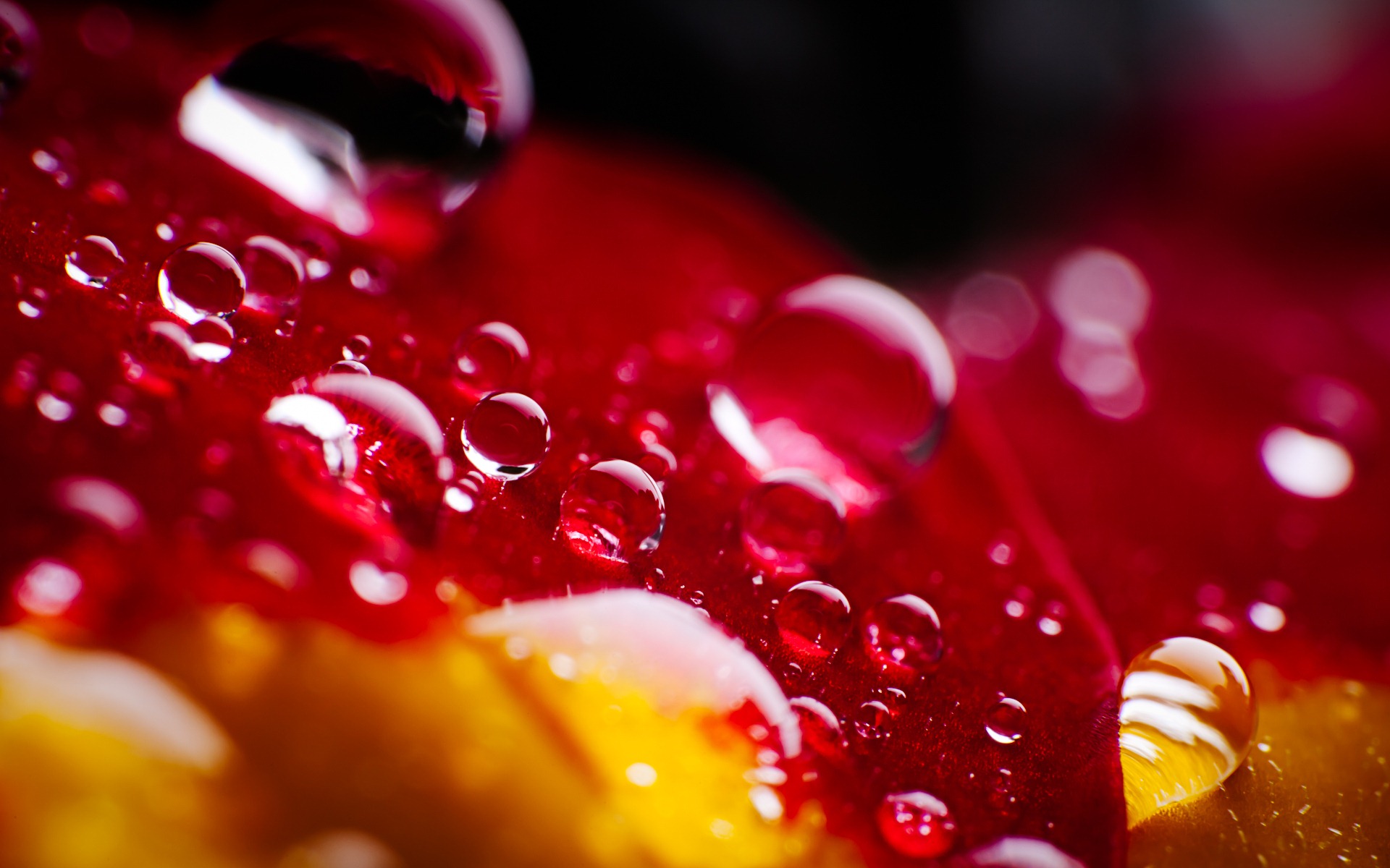 Windows 7 Wallpapers: Water drops #11 - 1920x1200