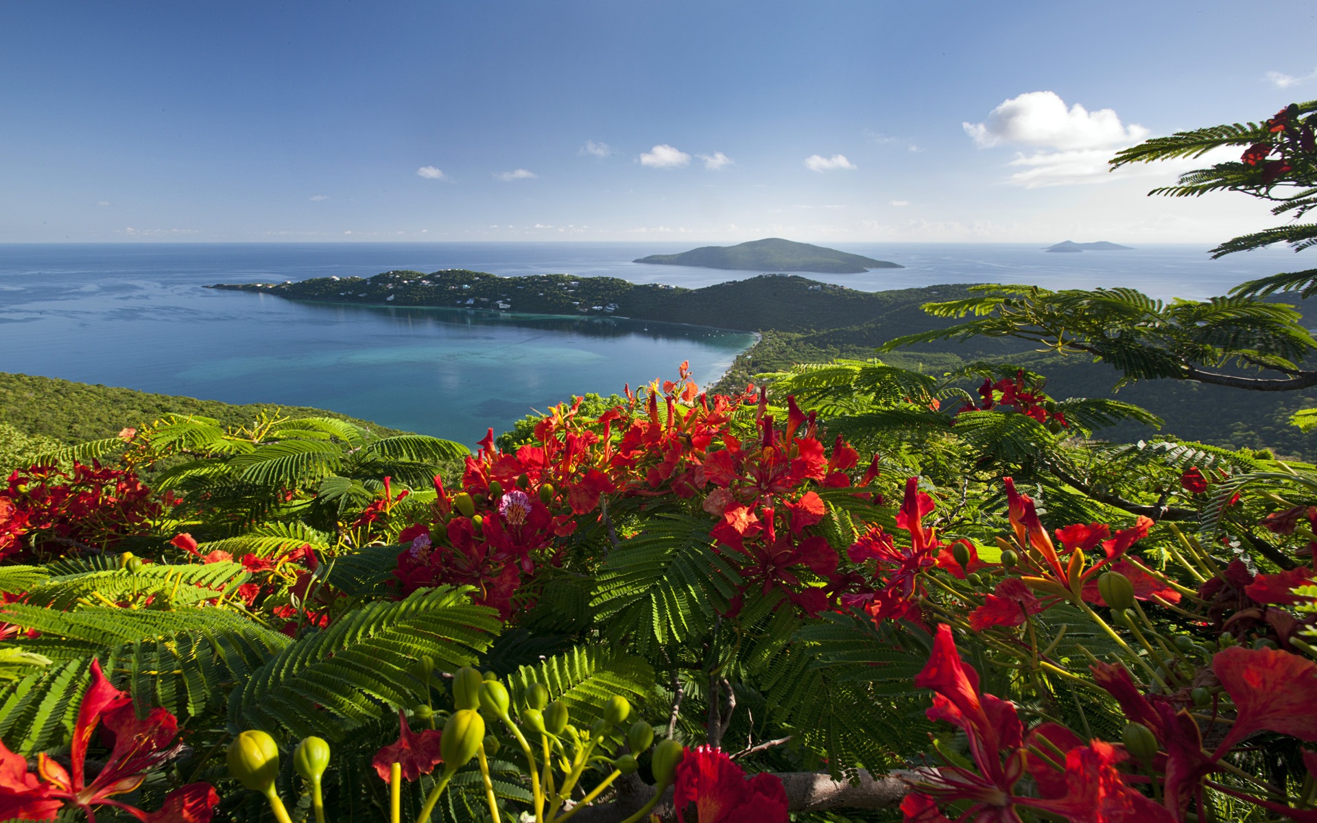 Windows 8 壁紙：加勒比海濱 #11 - 1920x1200