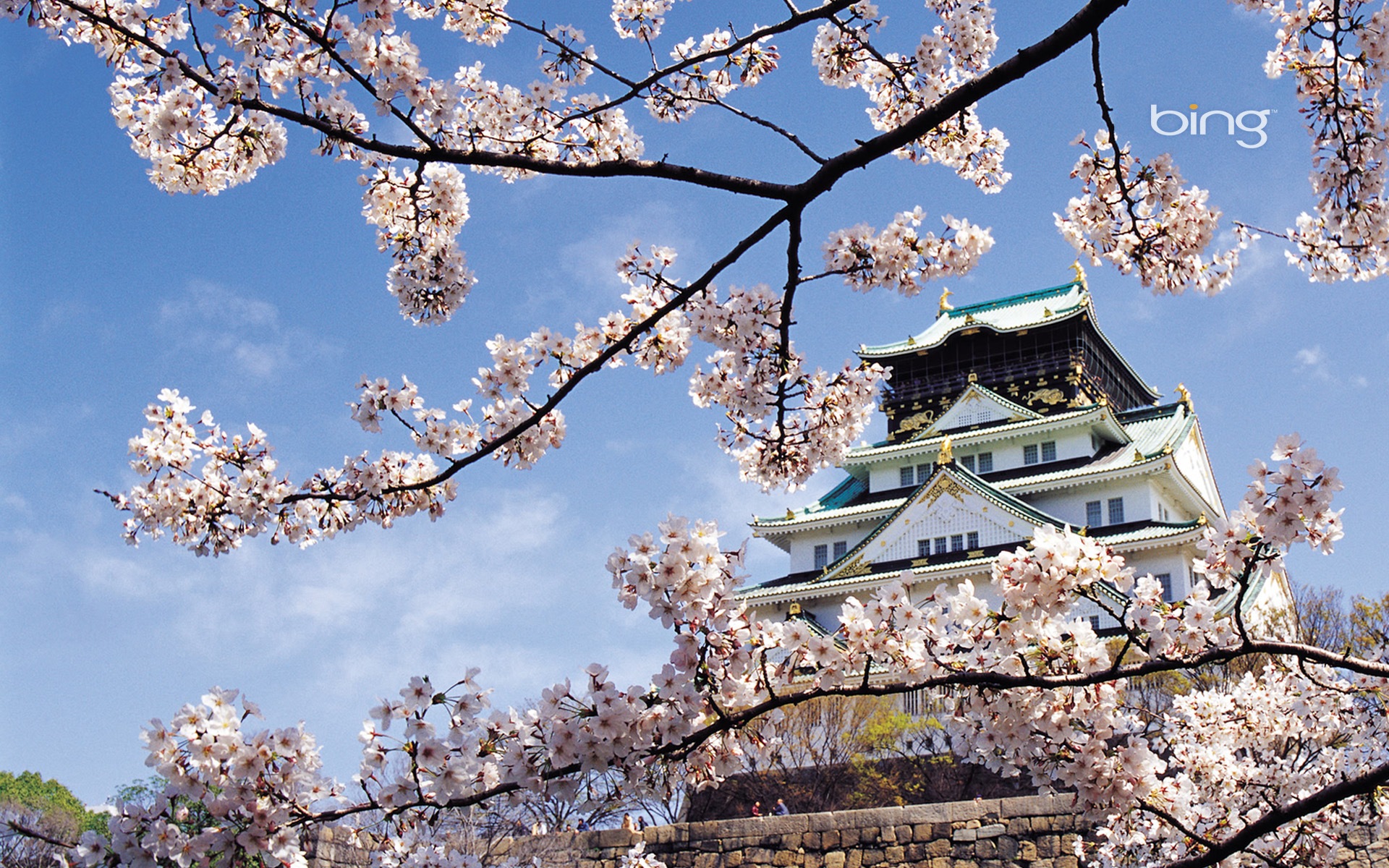 Bing 微軟必應高清壁紙：日本風景主題壁紙 #6 - 1920x1200