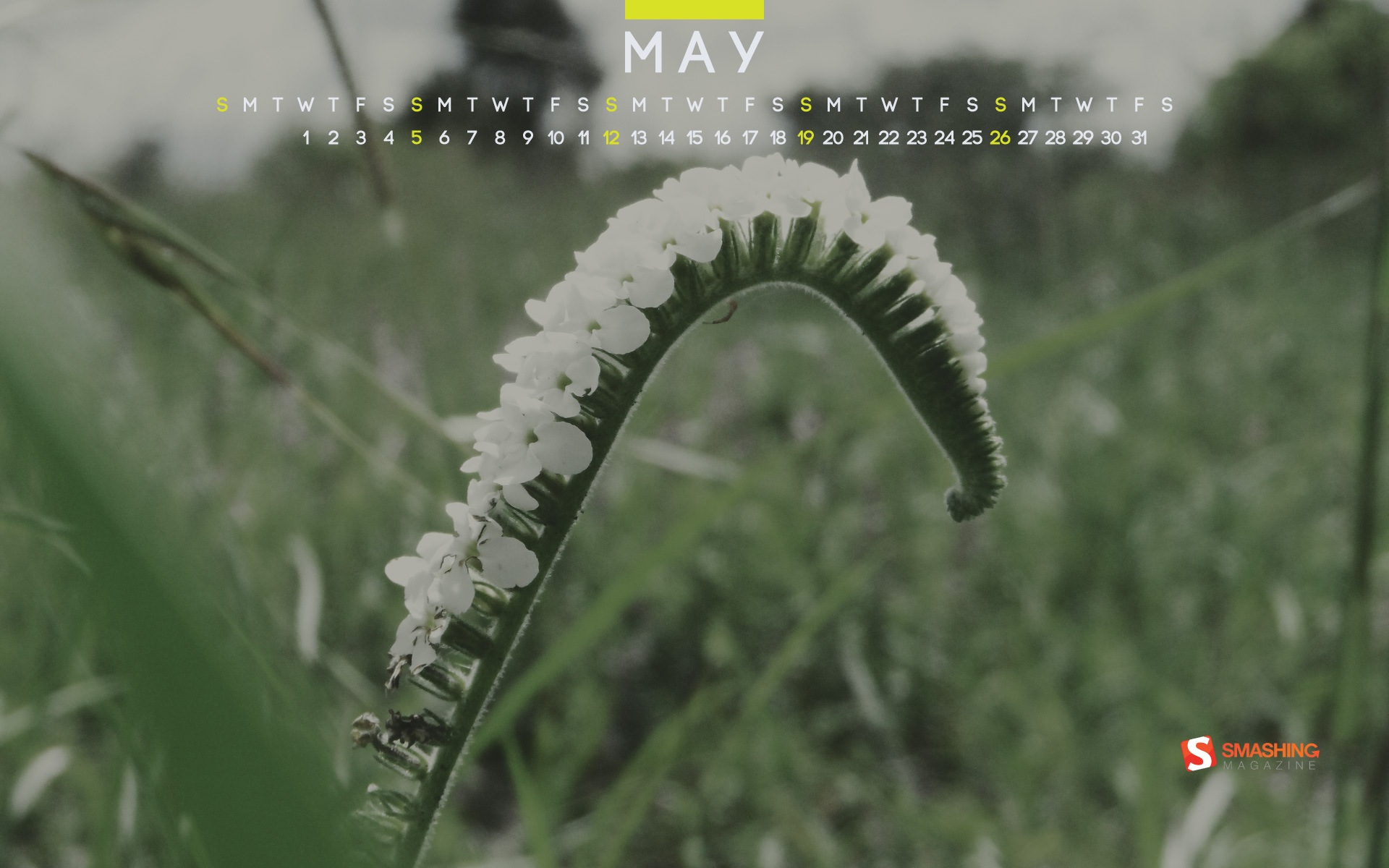 2013年5月 月曆壁紙(二) #13 - 1920x1200