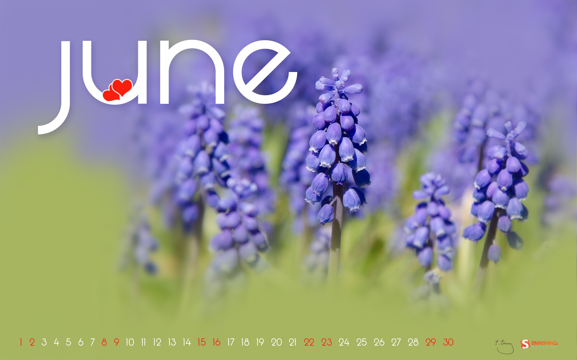 2013年6月 月曆壁紙(二) #17 - 1920x1200
