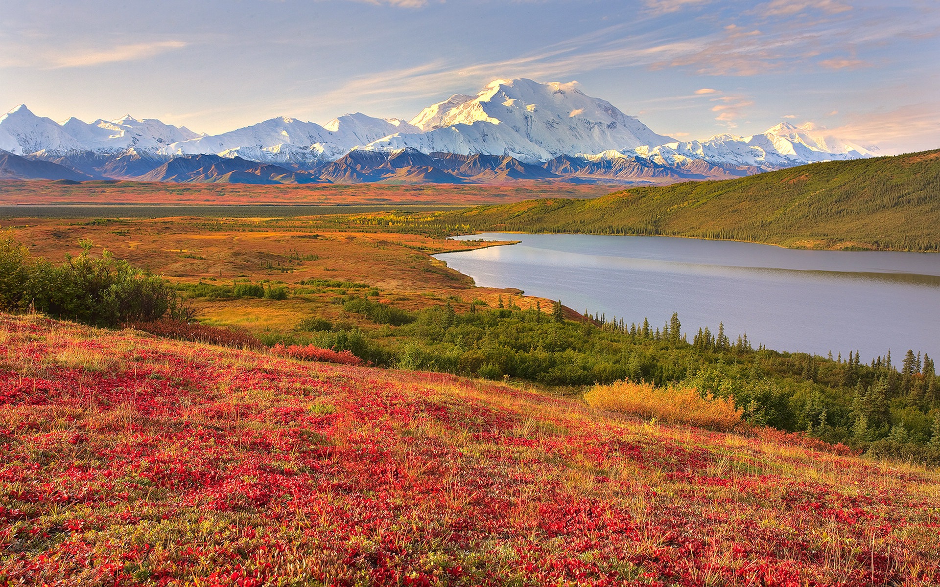 Denali National Park 迪納利國家公園 高清風景壁紙 #10 - 1920x1200