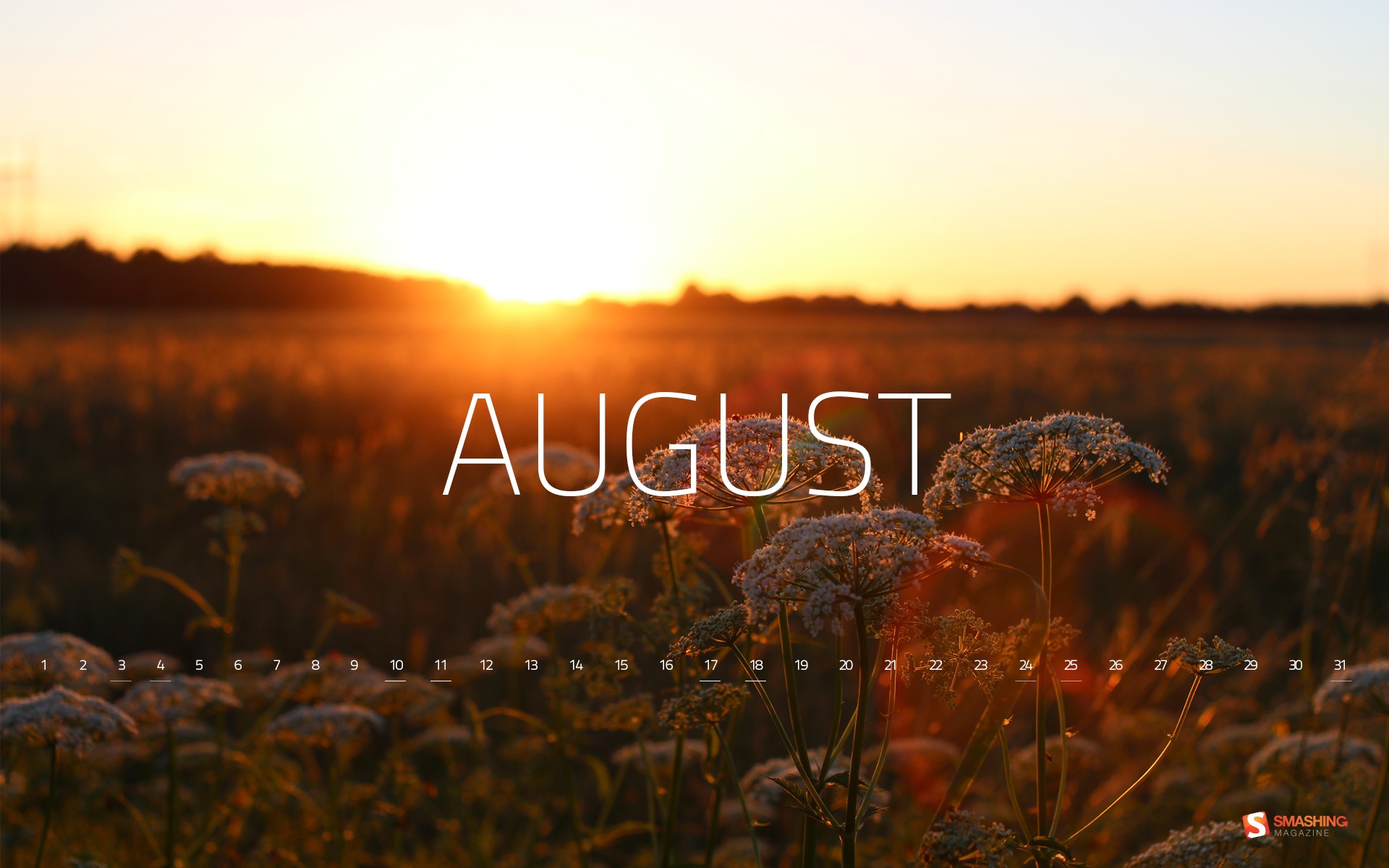 2013年8月 月曆壁紙(二) #2 - 1920x1200