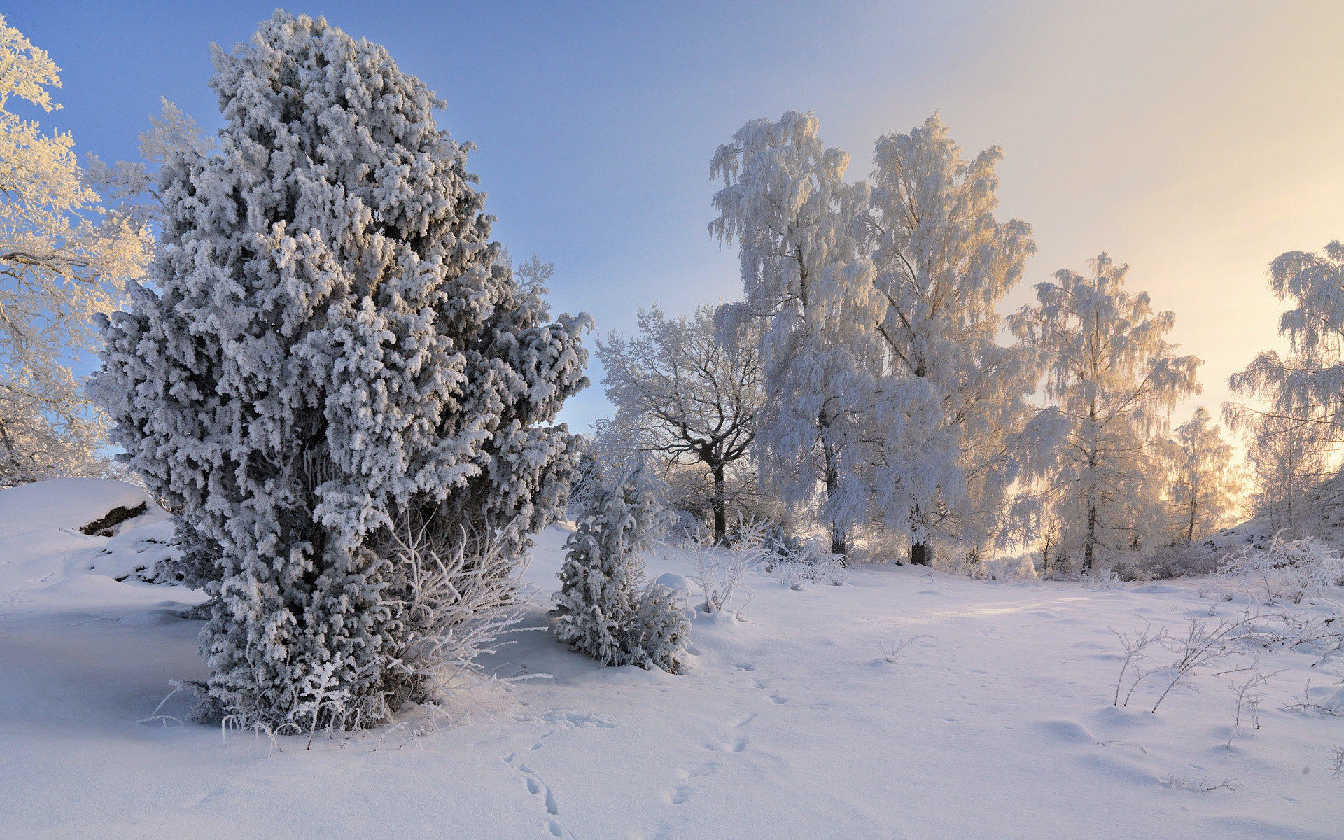 Schweden Jahreszeiten natürliche Schönheit HD Wallpaper #19 - 1920x1200