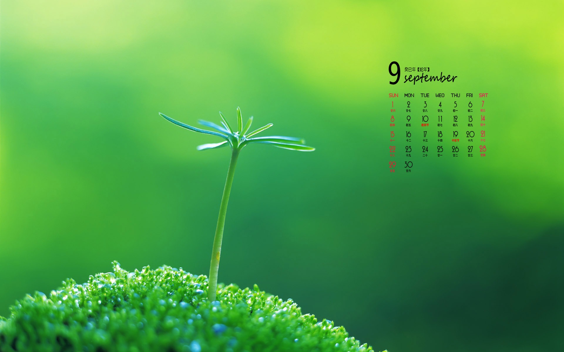 September 2013 Kalender Wallpaper (1) #5 - 1920x1200