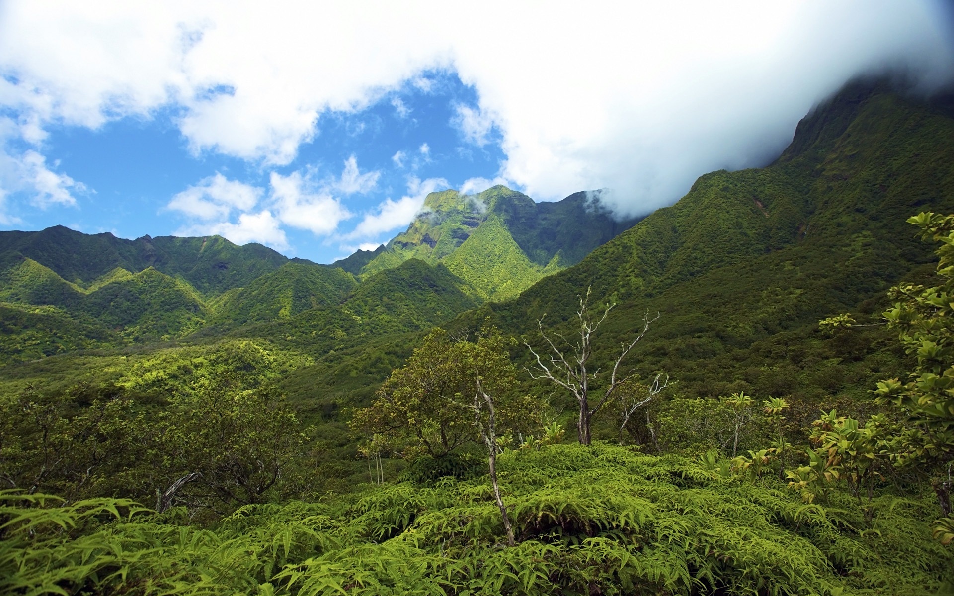 Windows 8 es el tema de fondo de pantalla: paisaje hawaiano #7 - 1920x1200