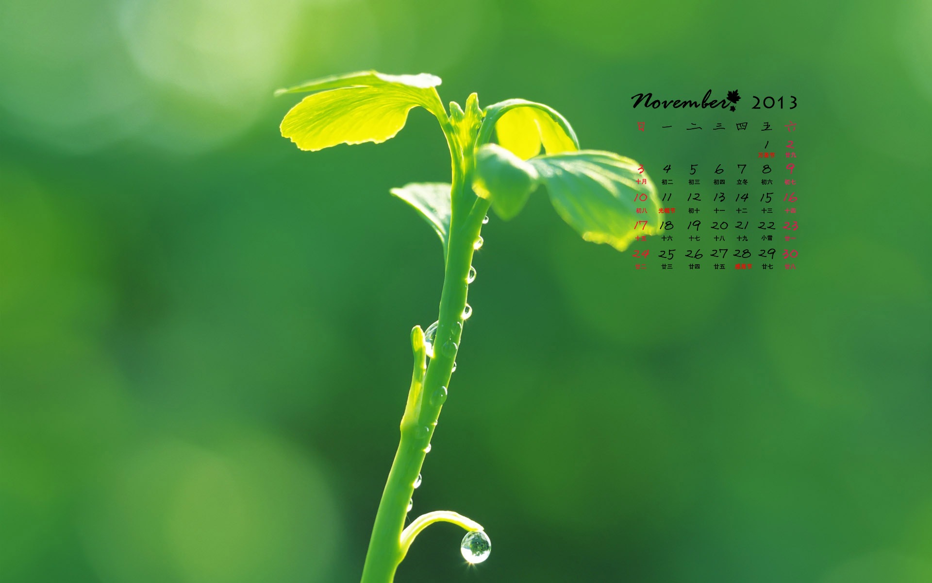 November 2013 Calendar wallpaper (1) #9 - 1920x1200