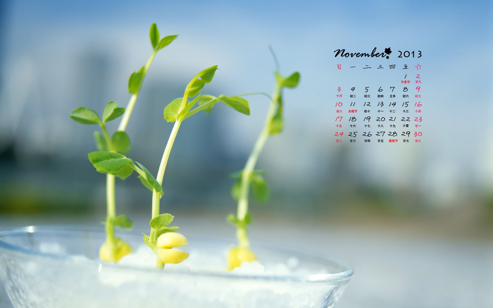 November 2013 Calendar wallpaper (1) #10 - 1920x1200