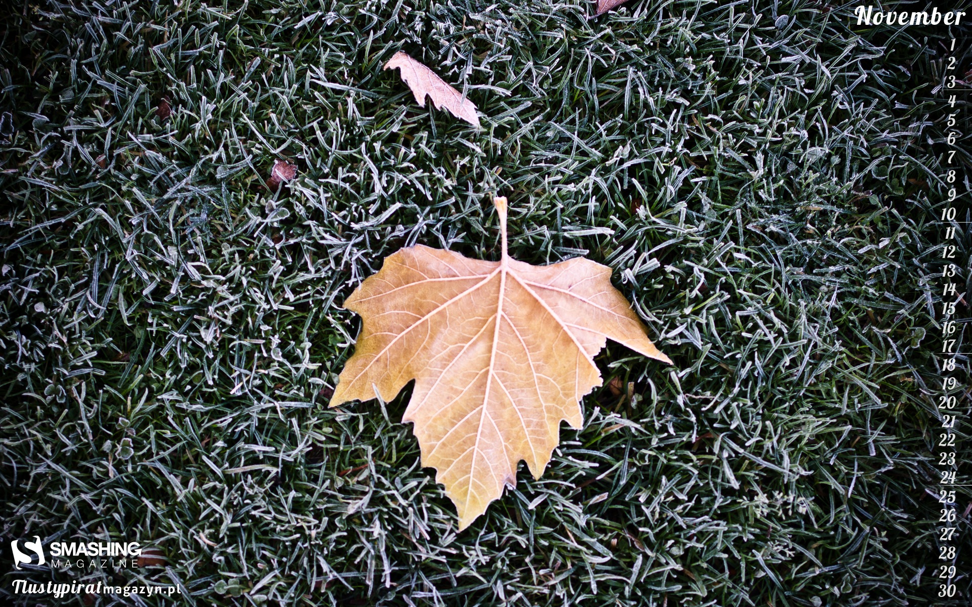 2013年11月 月曆壁紙(二) #18 - 1920x1200