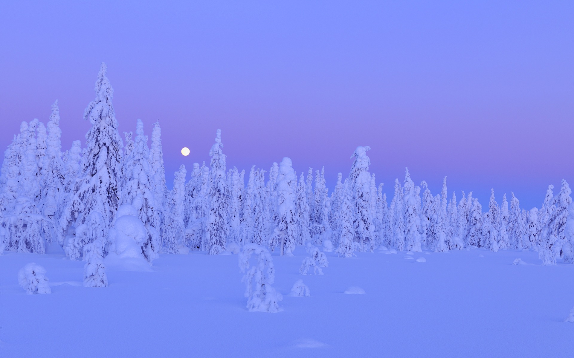 Windows 8 主題高清壁紙：冬季雪的夜景 #12 - 1920x1200