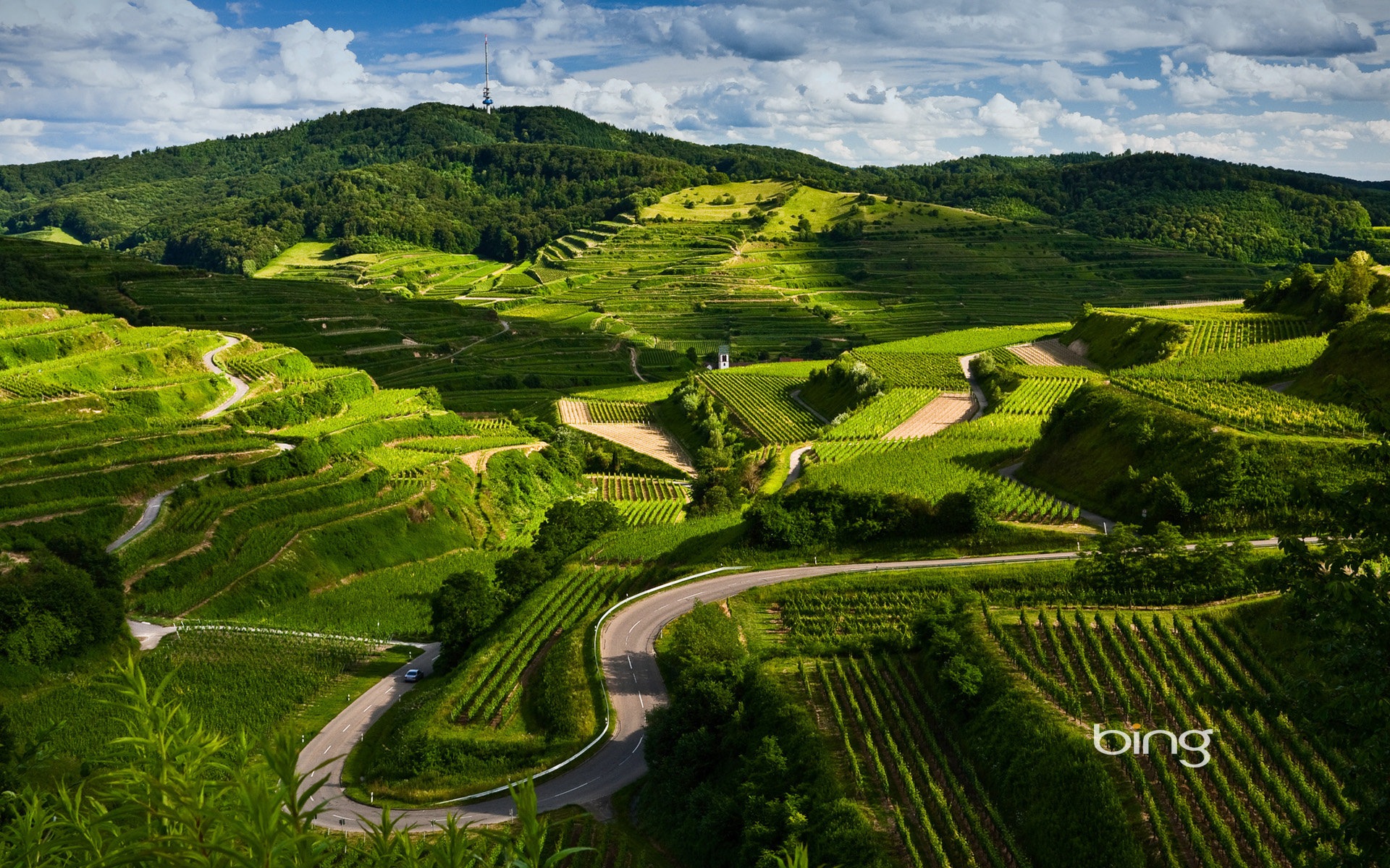 Bing 必應2014年1月壁紙精選 #3 - 1920x1200