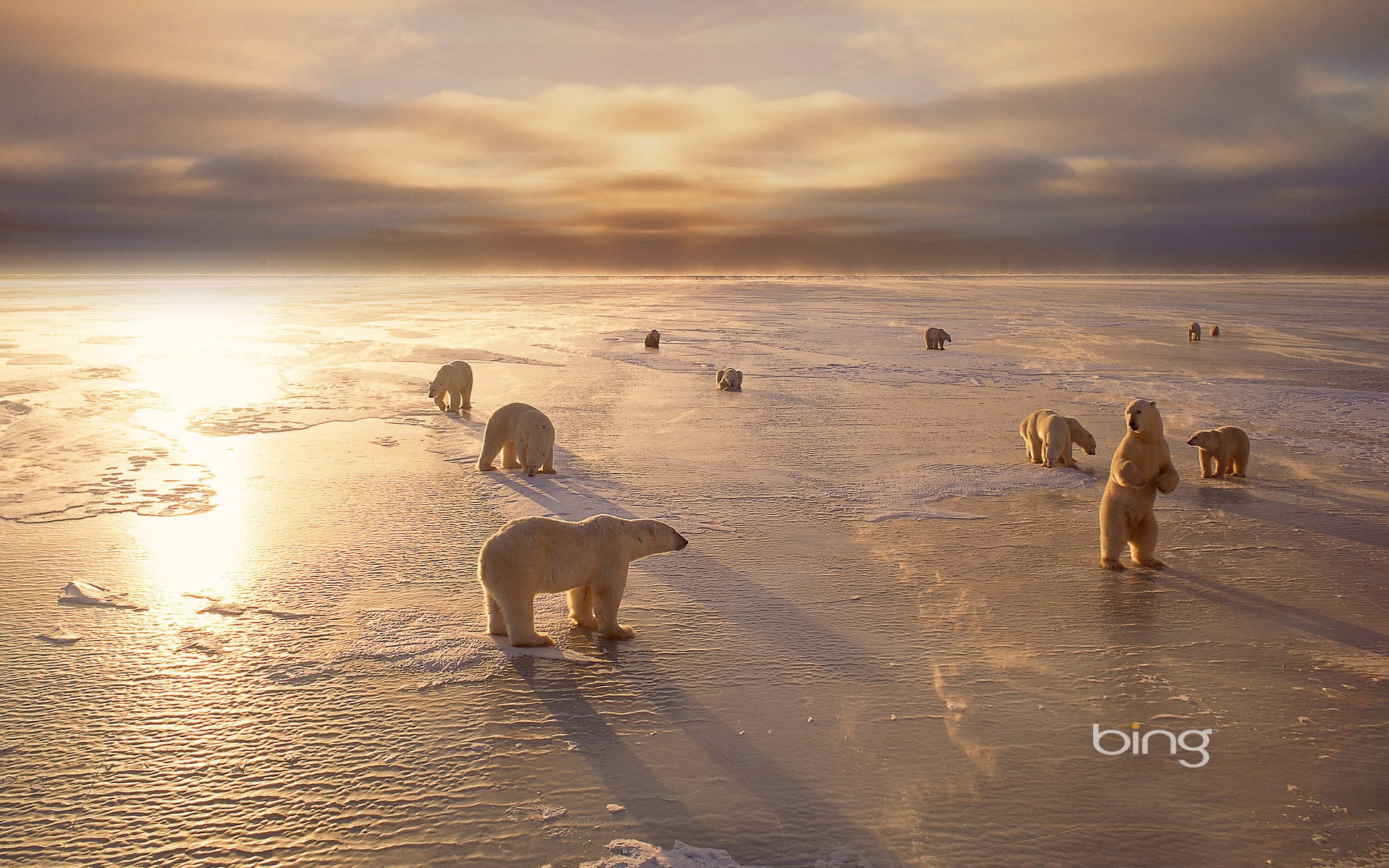 Bing 必應2014年1月壁紙精選 #8 - 1920x1200