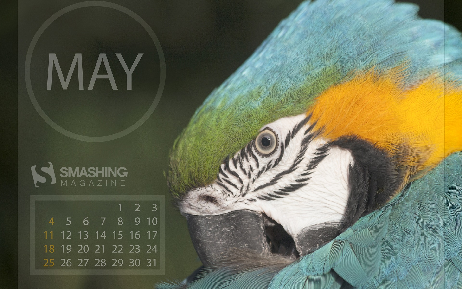 May 2014 calendar wallpaper (2) #16 - 1920x1200