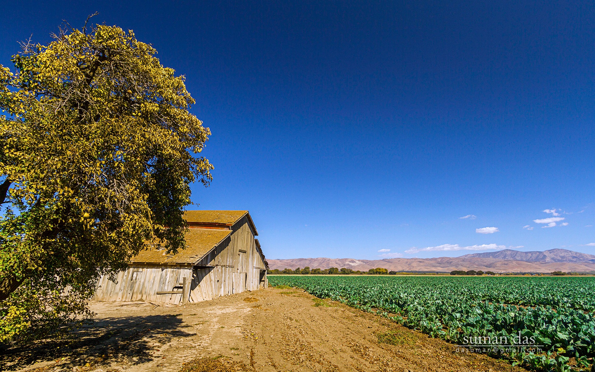 Californie paysages côtiers, Windows 8 fonds d'écran thématiques #4 - 1920x1200