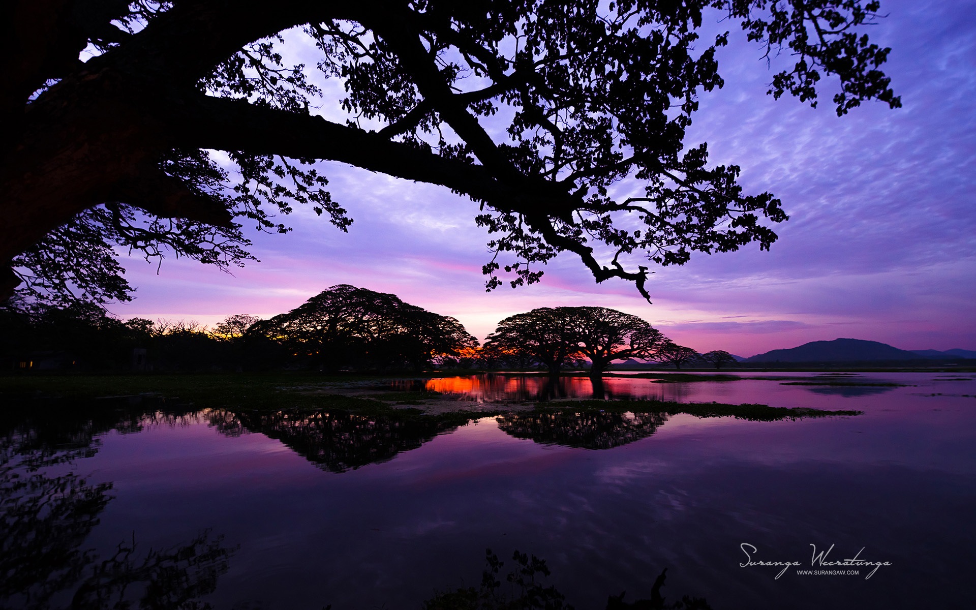 Sri Lanka style de paysage, Windows 8 fonds d'écran thématiques #12 - 1920x1200