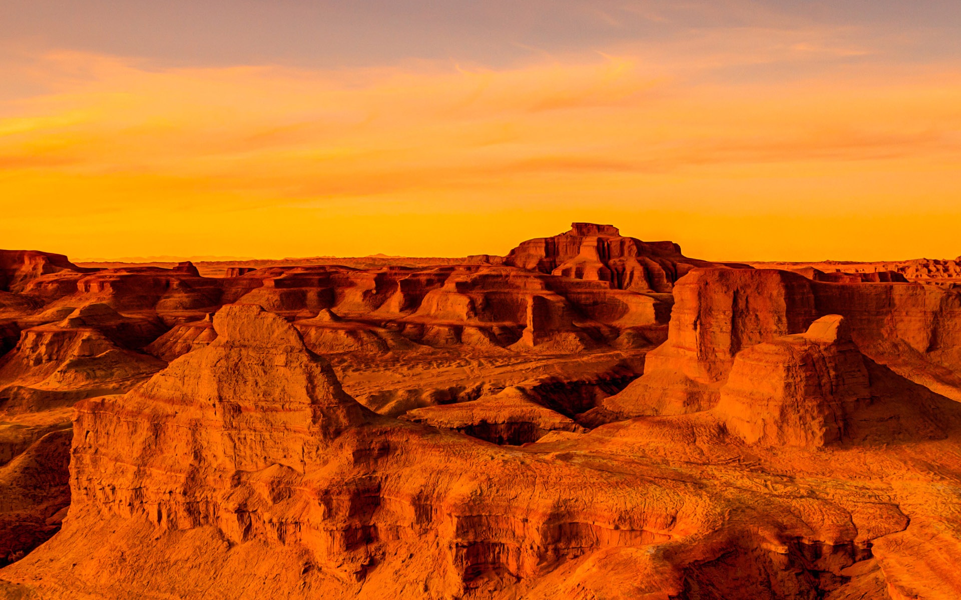 炎熱乾旱的沙漠，Windows 8 全景寬屏壁紙 #6 - 1920x1200