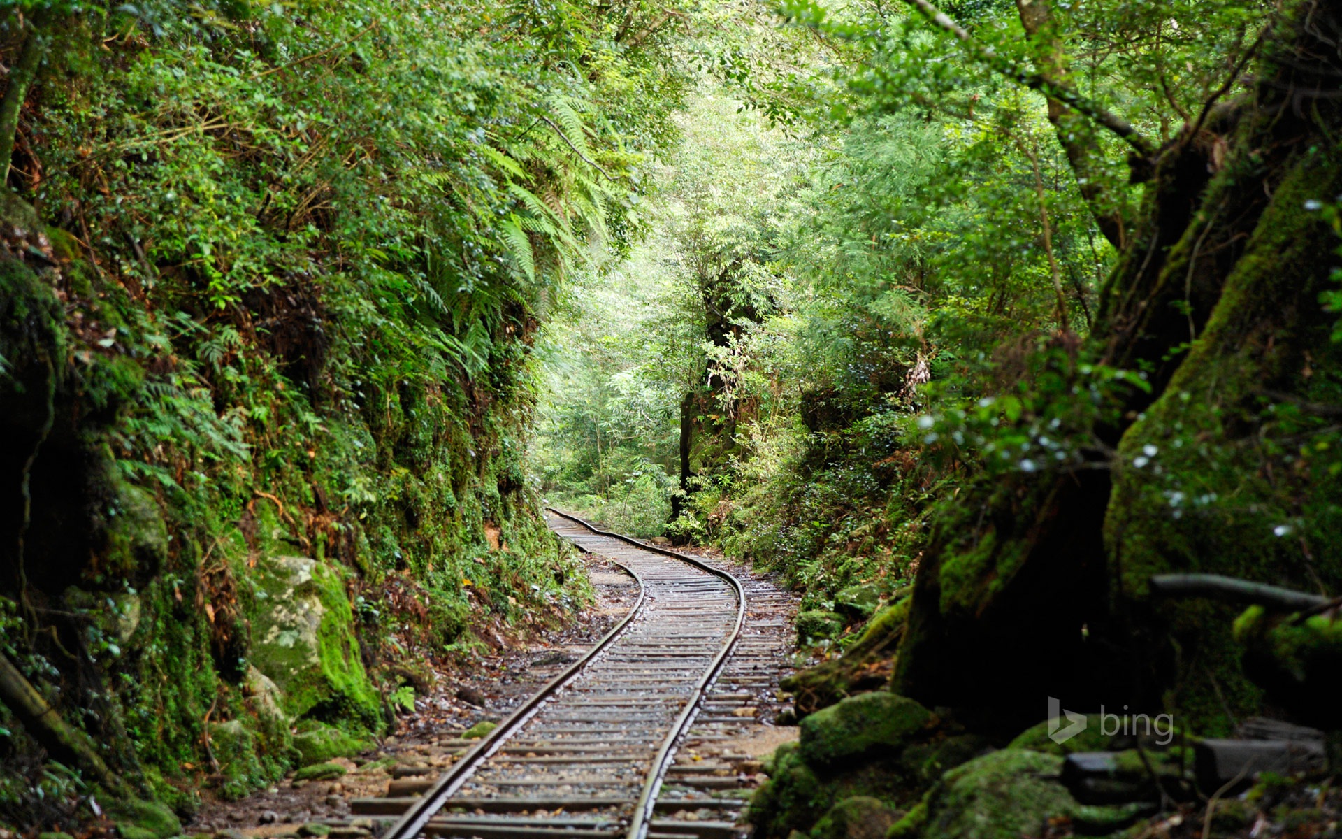 June 2014 Bing official wallpaper selection #24 - 1920x1200