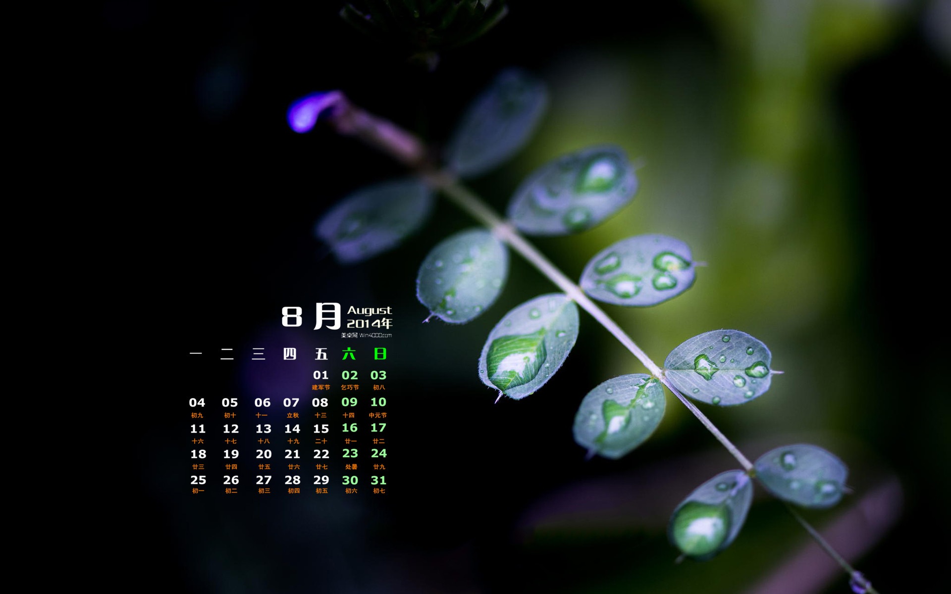 2014年8月 月曆壁紙(一) #9 - 1920x1200