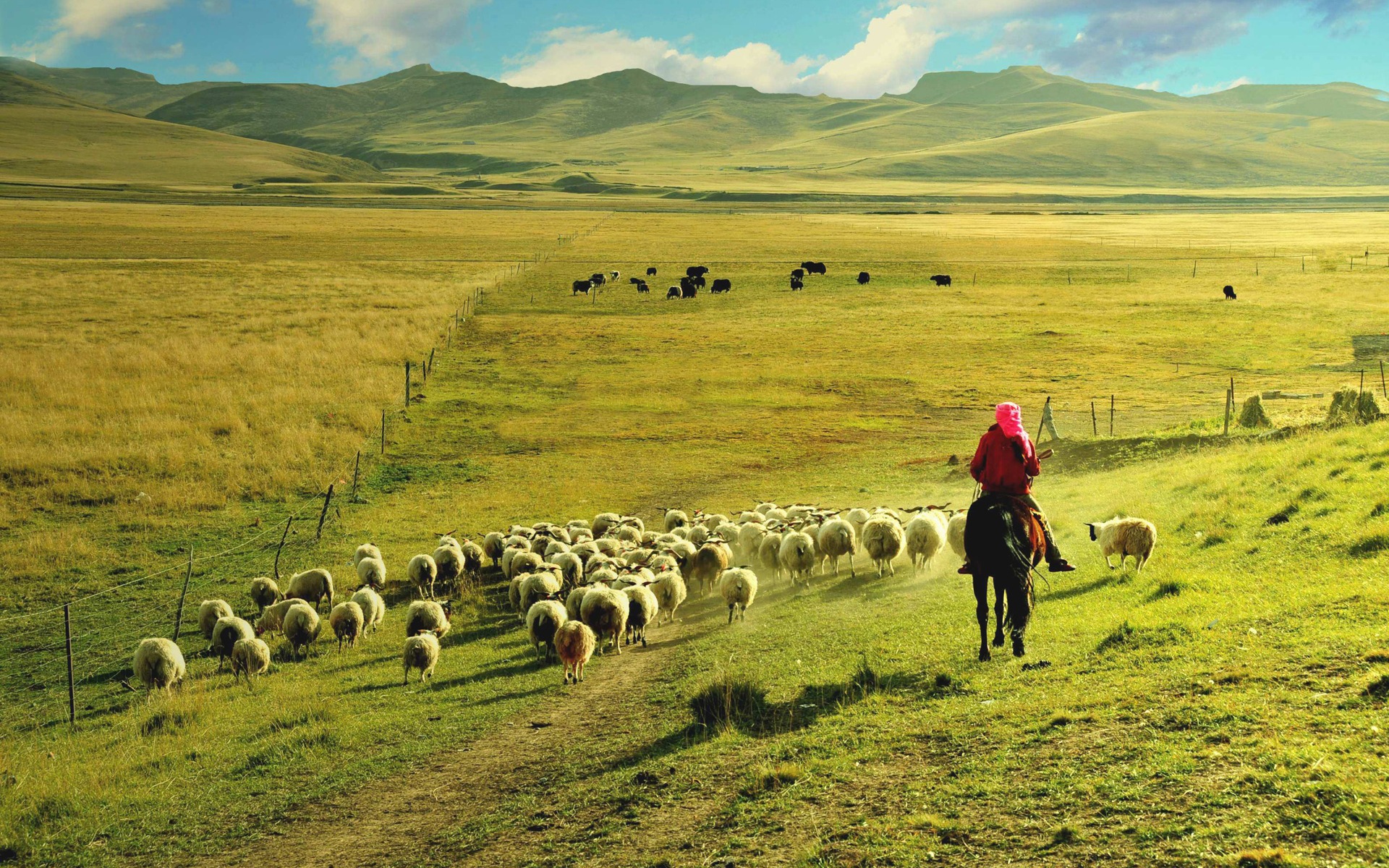 Qinghai Plateau krásné scenérie tapety #7 - 1920x1200