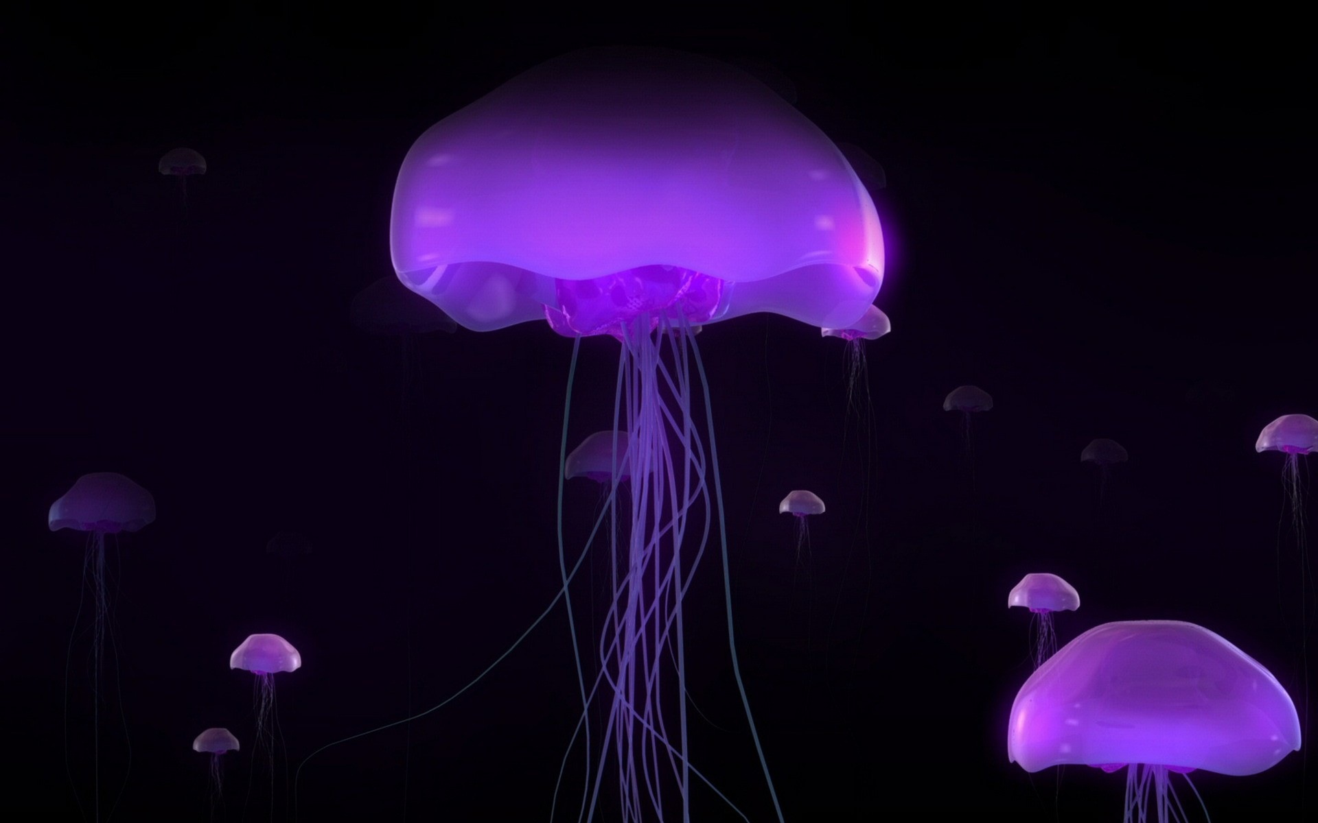 Windows 8 theme wallpaper, jellyfish #27 - 1920x1200