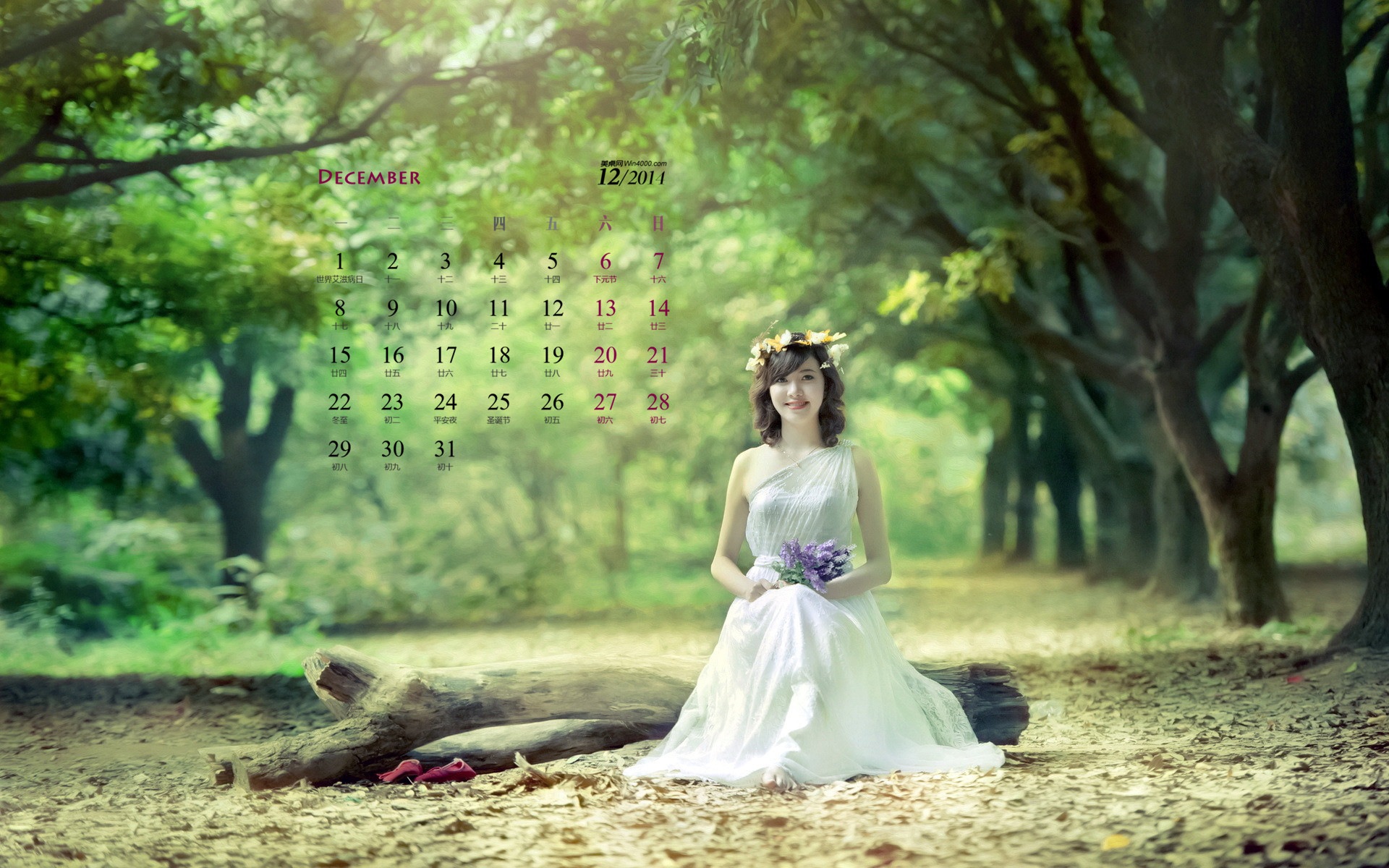 December 2014 Calendar wallpaper (1) #5 - 1920x1200