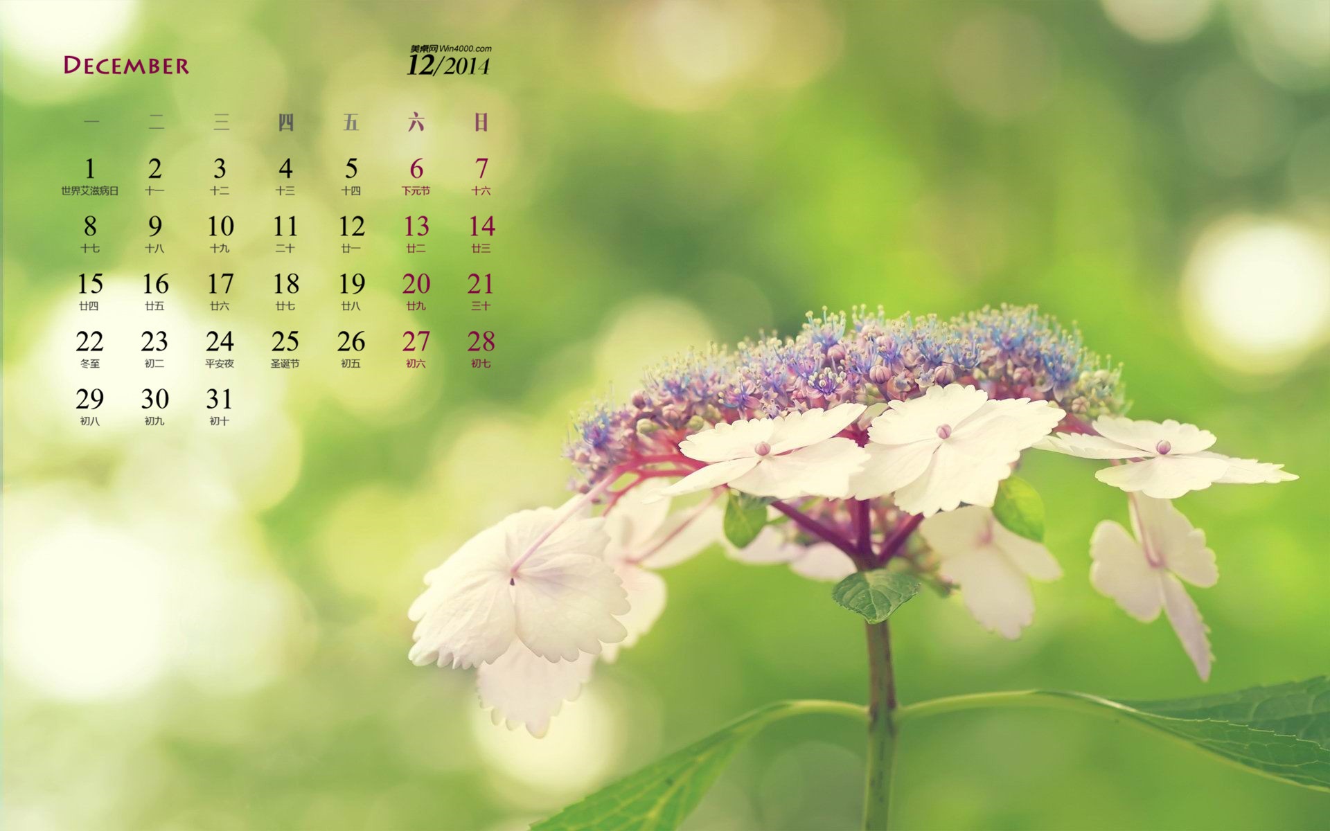 2014年12月 月曆壁紙(一) #12 - 1920x1200