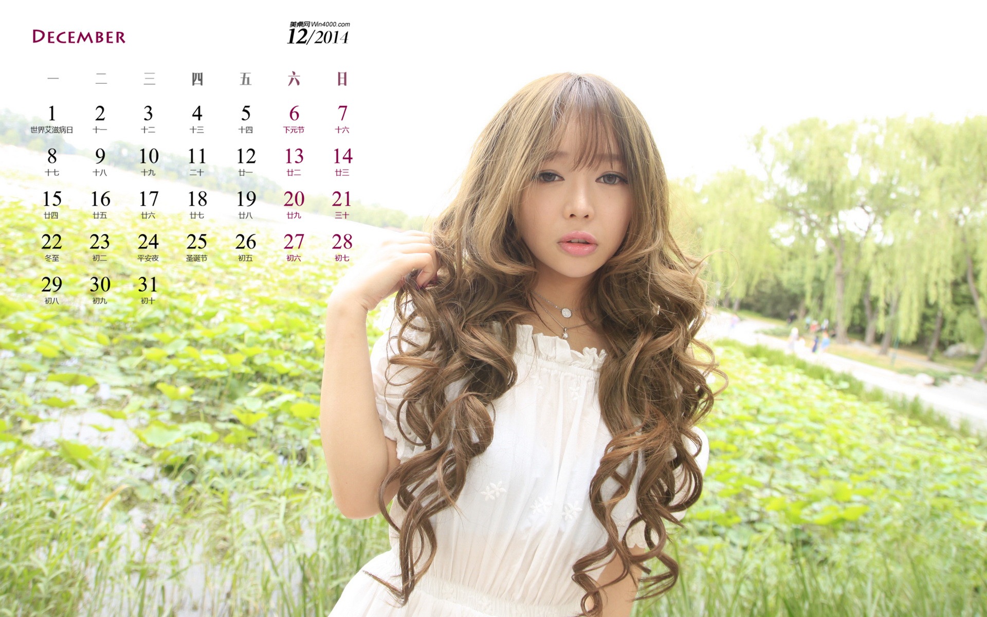 December 2014 Calendar wallpaper (1) #13 - 1920x1200