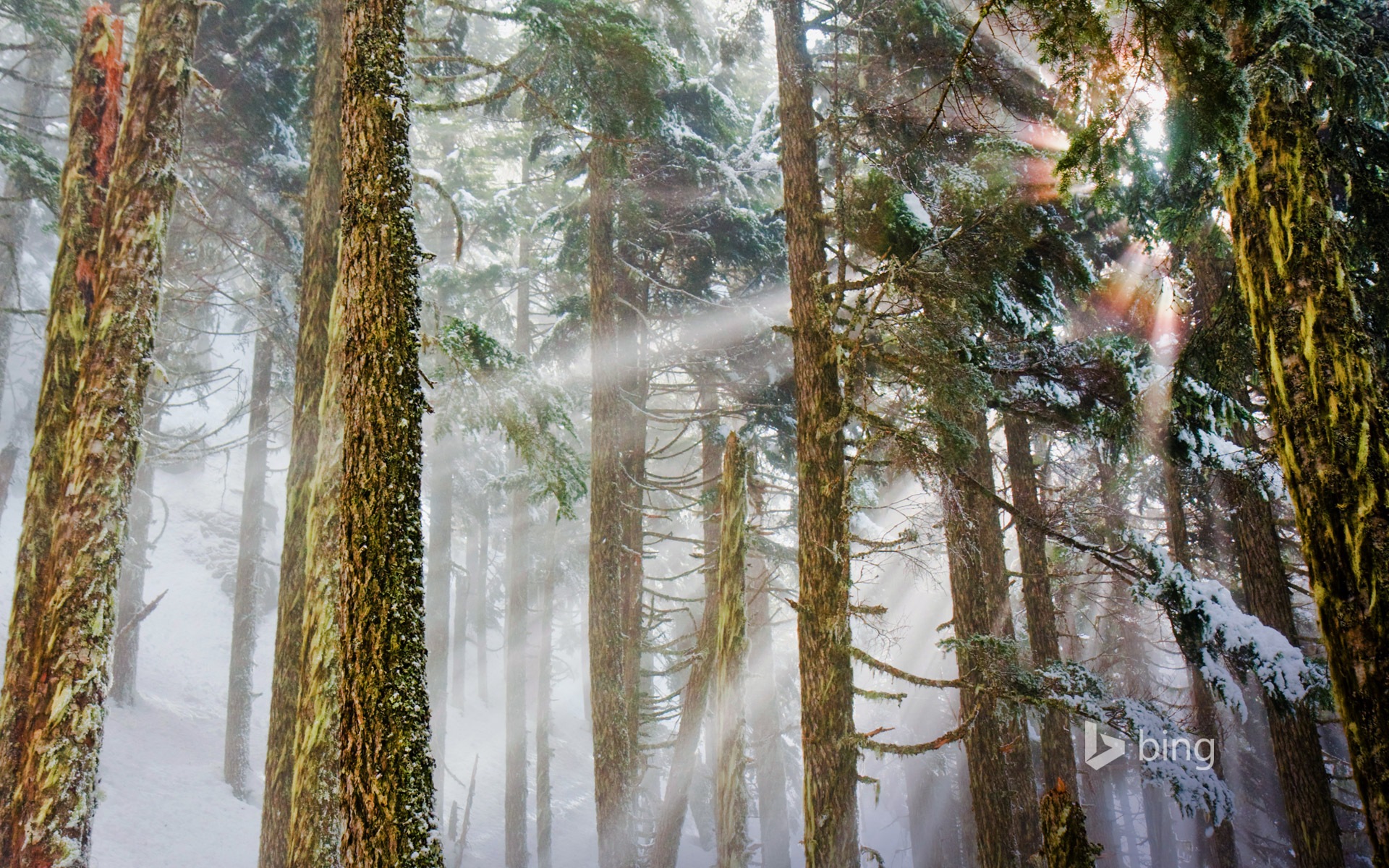 2015年1月 Bing HDの壁紙 #30 - 1920x1200