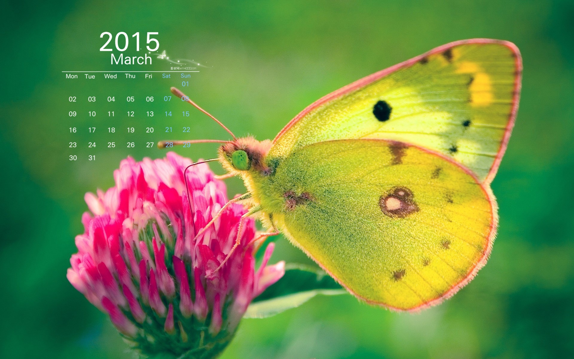 March 2015 Calendar wallpaper (1) #1 - 1920x1200