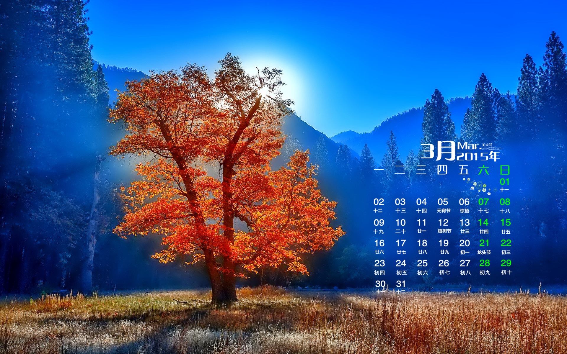 March 2015 Calendar wallpaper (1) #16 - 1920x1200