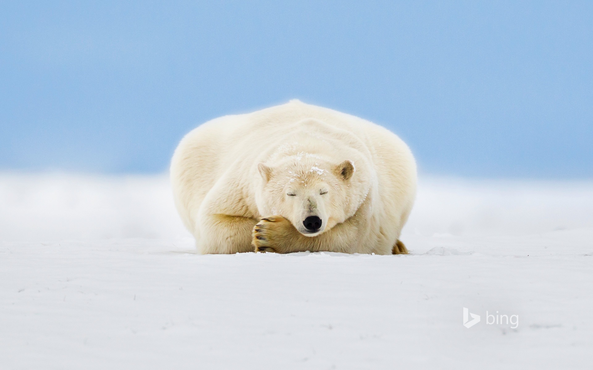 02 2015 fondos de pantalla HD Bing #9 - 1920x1200