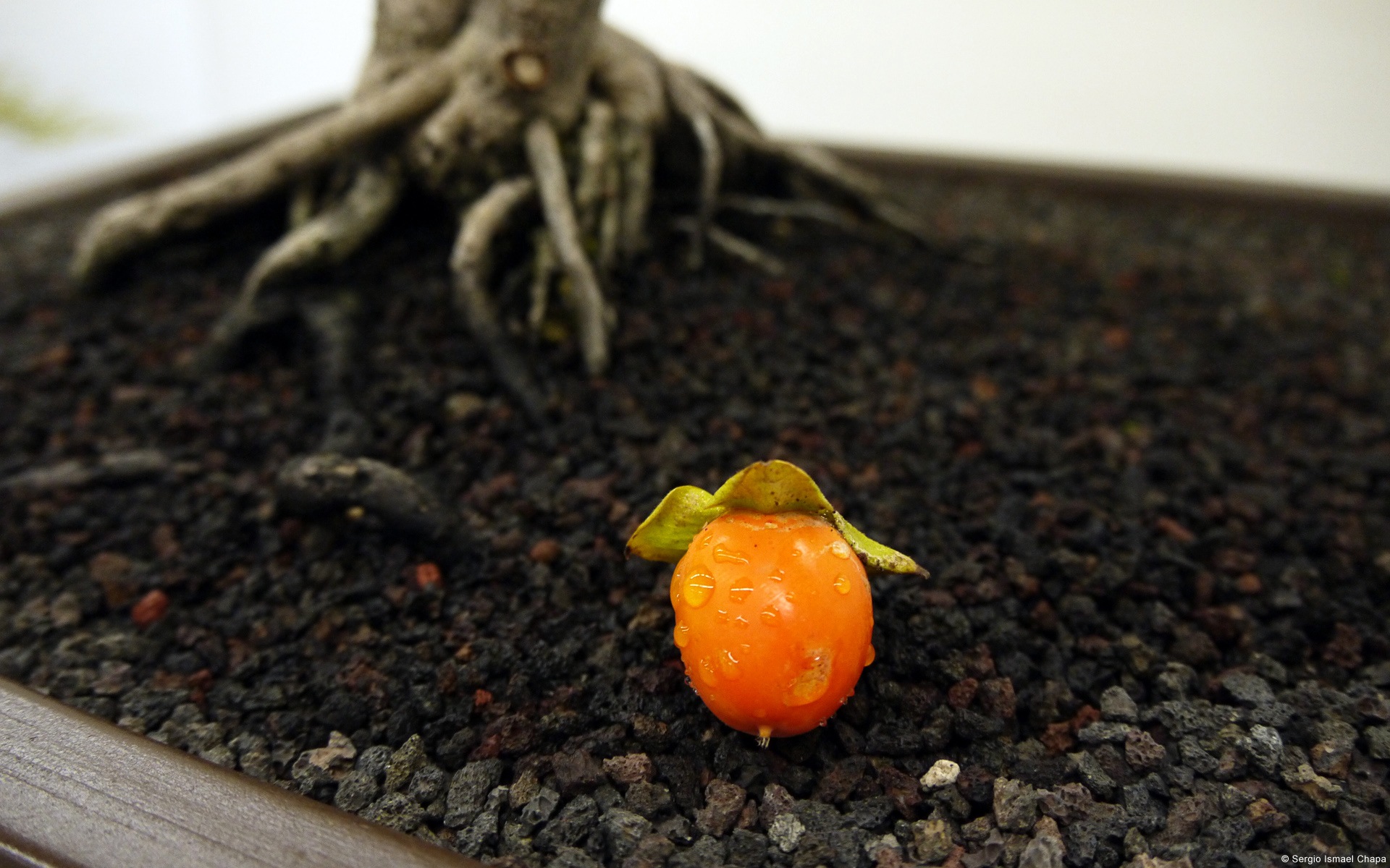 アートの写真撮影、Windows 8のHDの壁紙 #7 - 1920x1200