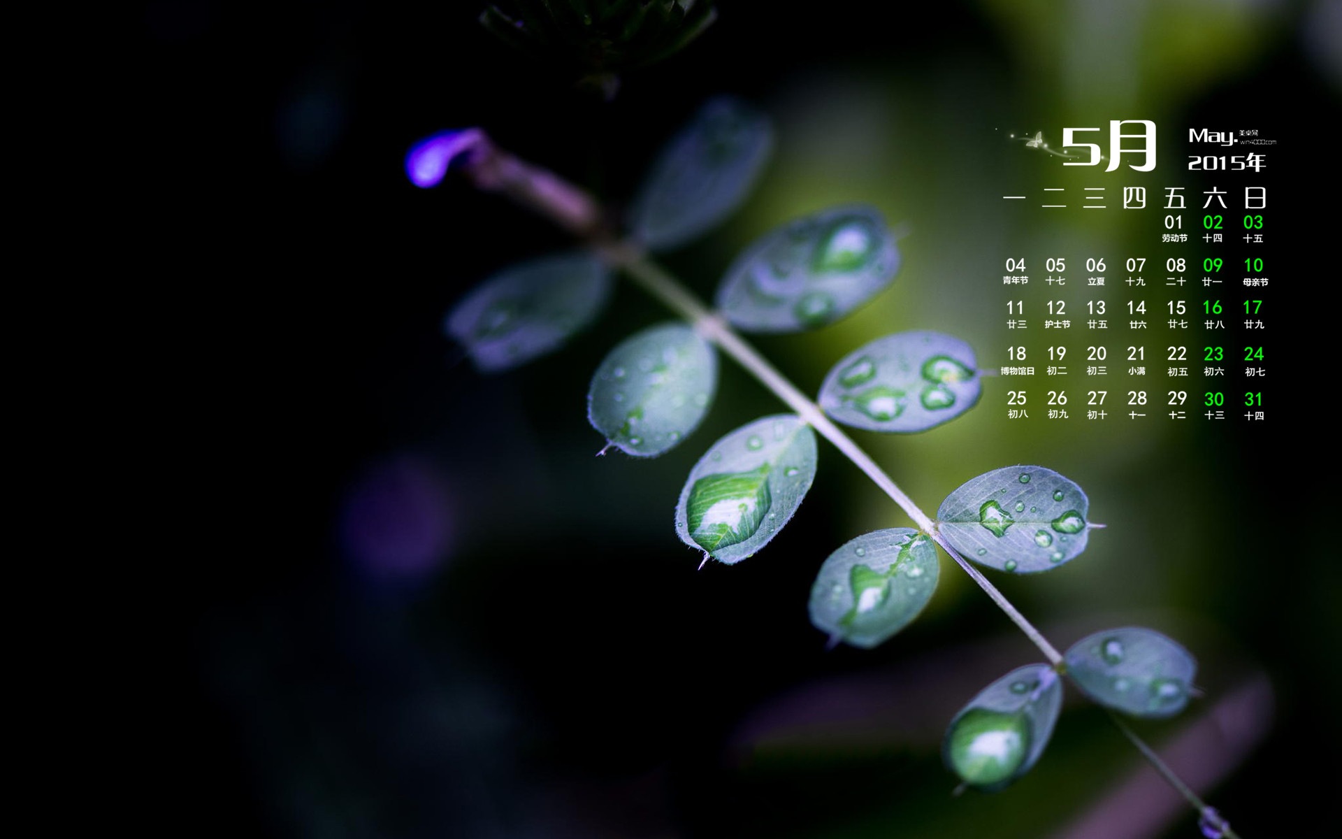 Mai 2015 Kalender Wallpaper (1) #7 - 1920x1200