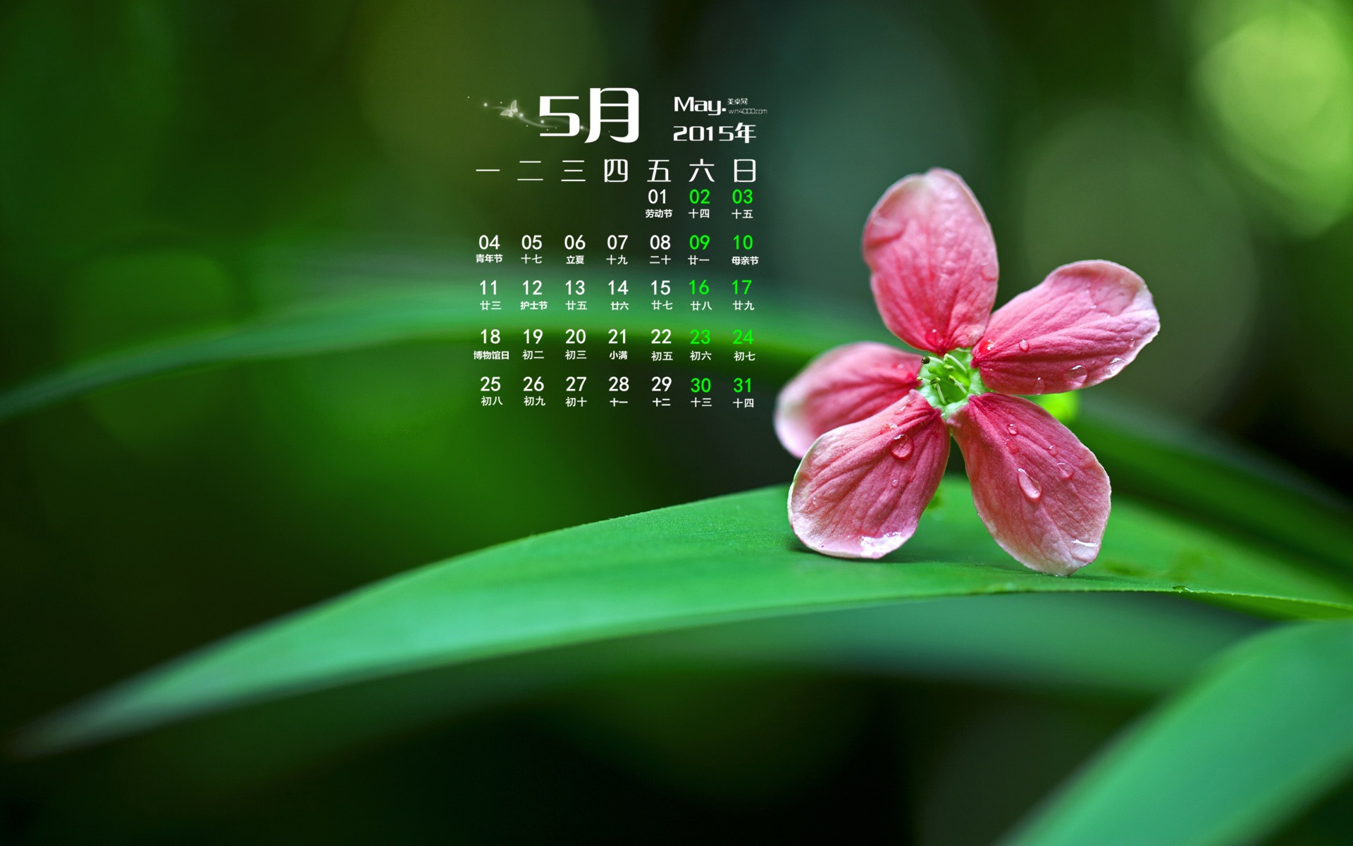 May 2015 calendar wallpaper (1) #8 - 1920x1200