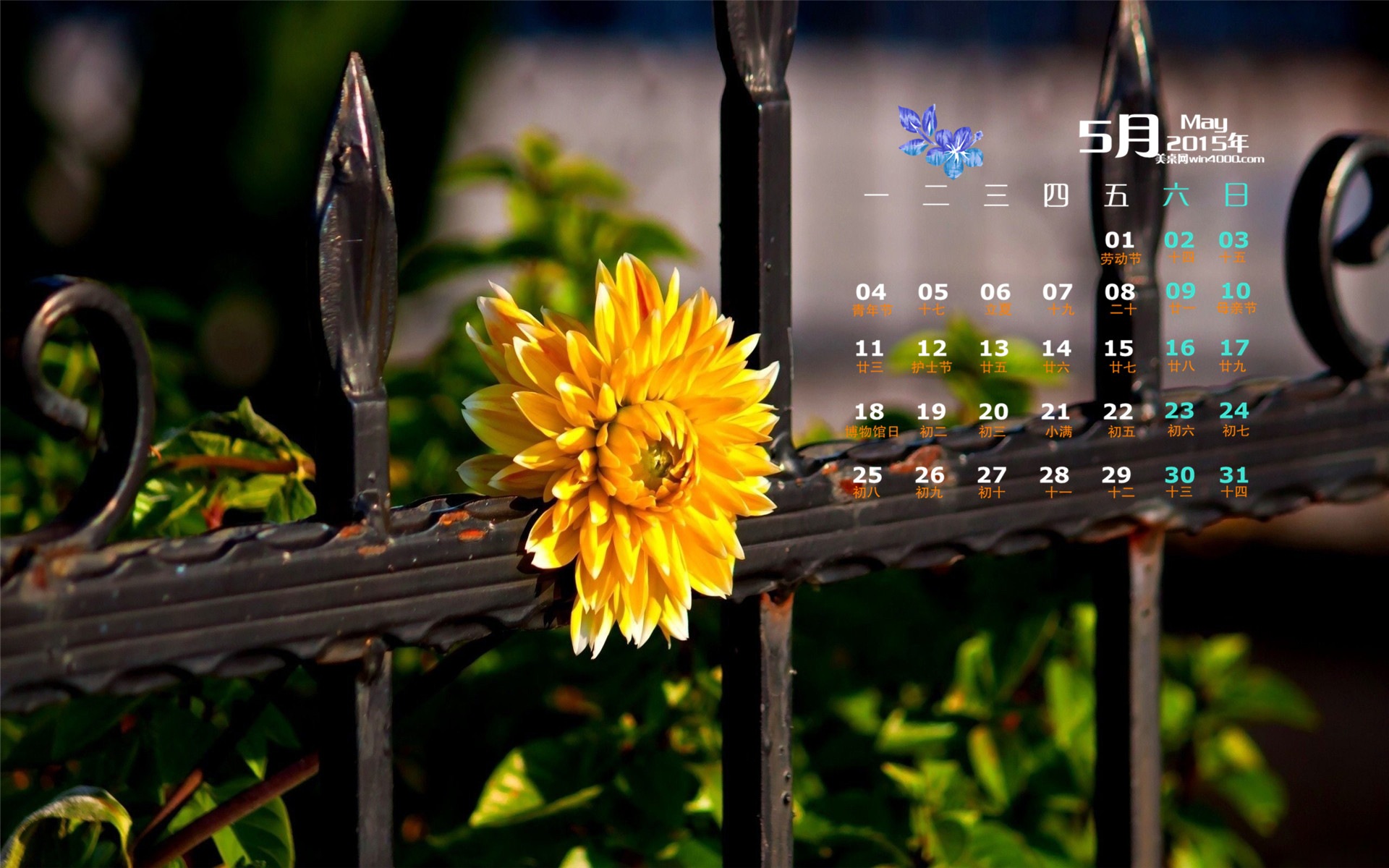 2015年5月 月曆壁紙(二) #3 - 1920x1200