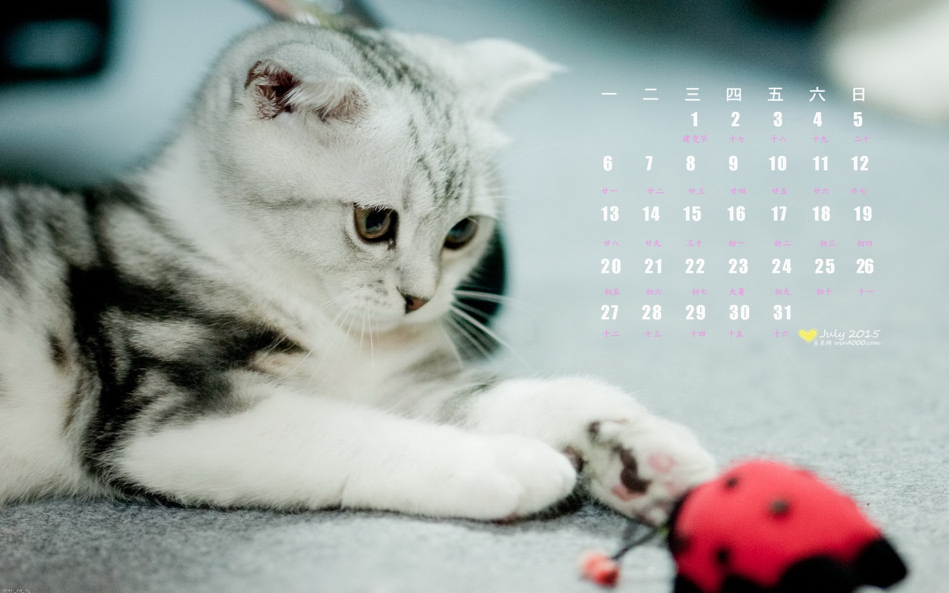 July 2015 calendar wallpaper (1) #11 - 1920x1200