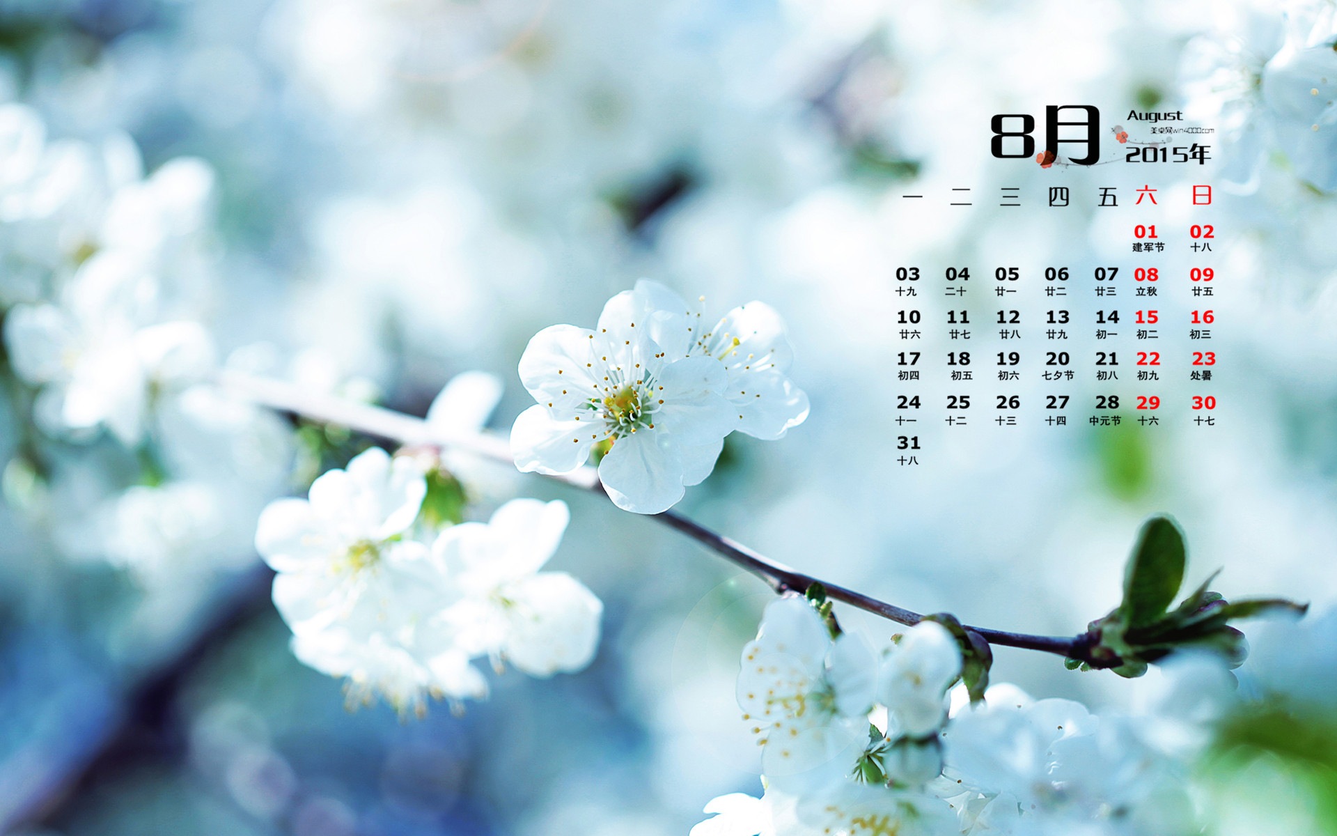 August 2015 calendar wallpaper (1) #2 - 1920x1200