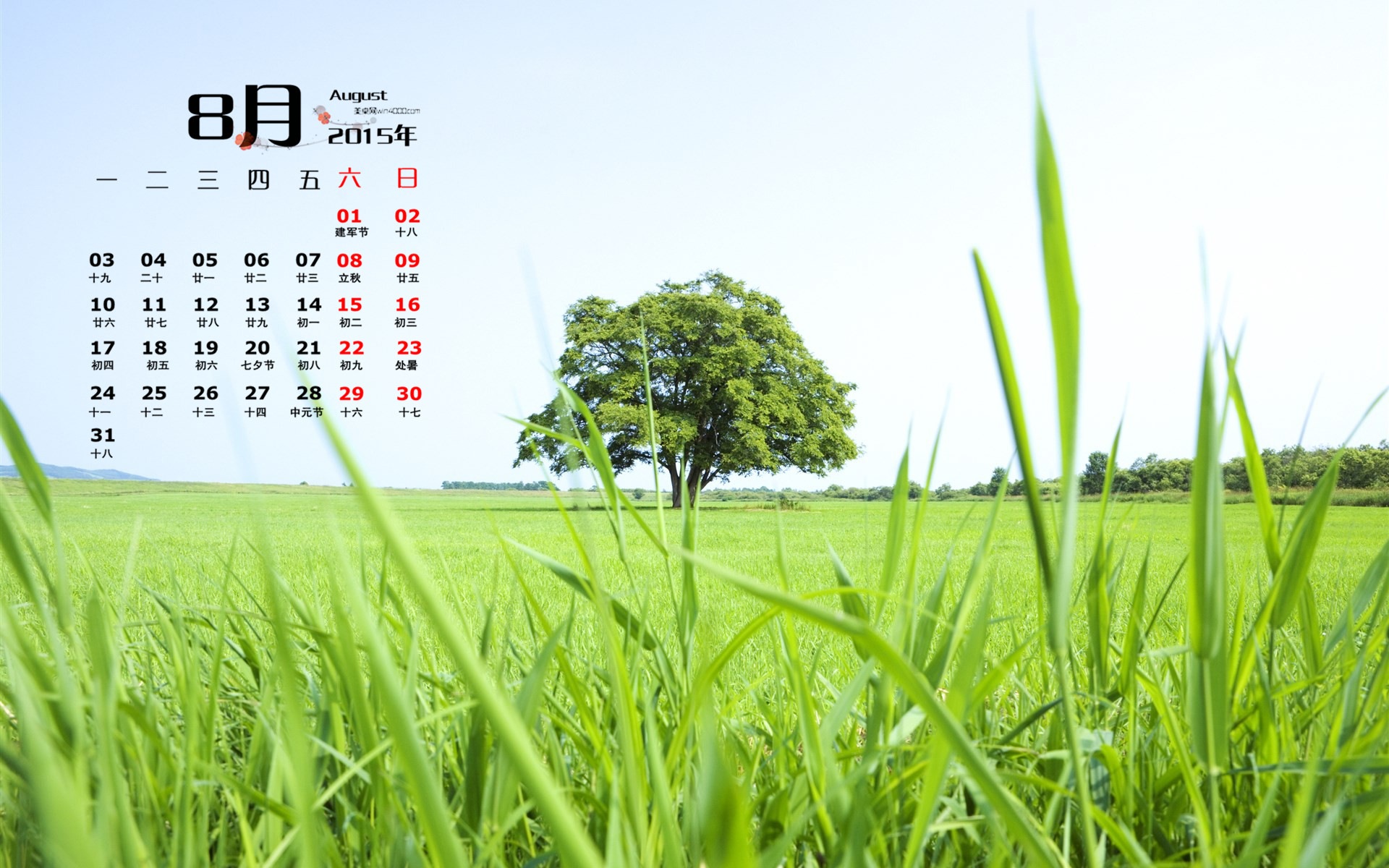 2015年8月 月曆壁紙(一) #13 - 1920x1200