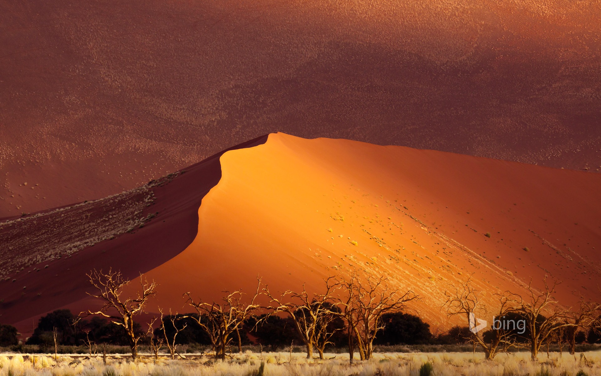 Mai 2015 fonds d'écran HD Bing #31 - 1920x1200