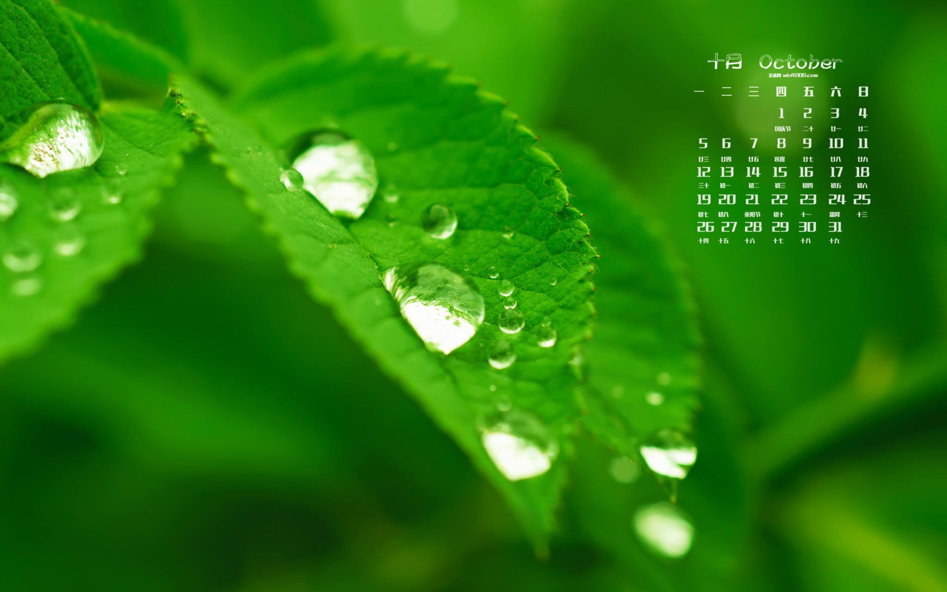 2015年10月カレンダー壁紙（2） #5 - 1920x1200