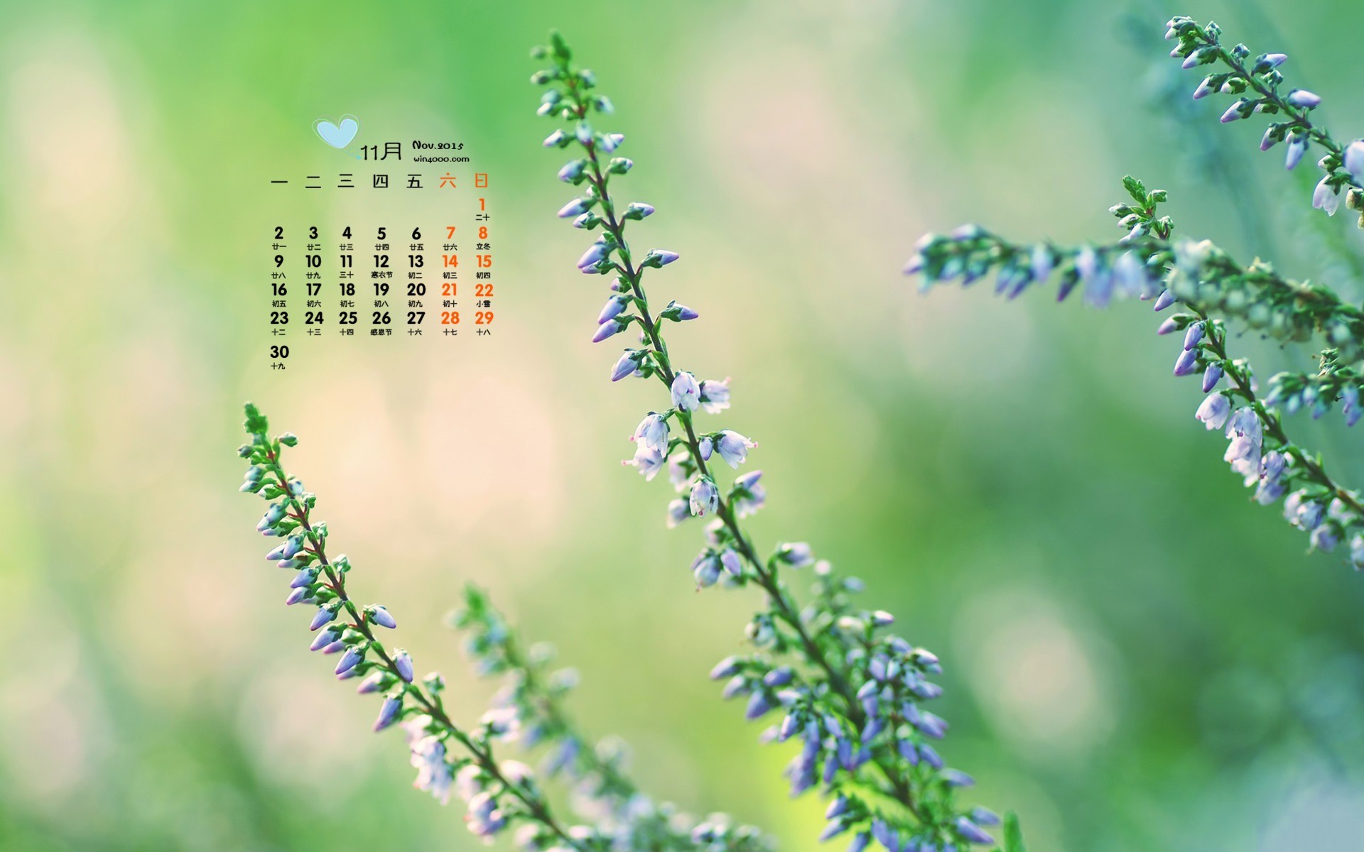 November 2015 Calendar wallpaper (1) #14 - 1920x1200