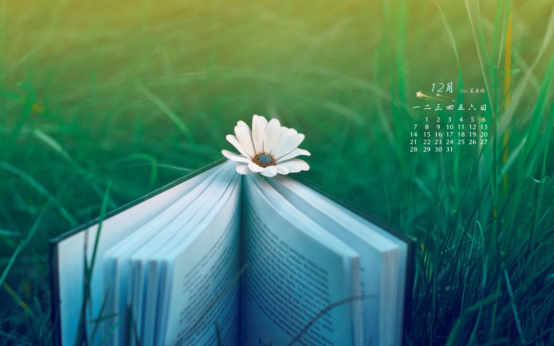 December 2015 Calendar wallpaper (1) #1 - 1920x1200