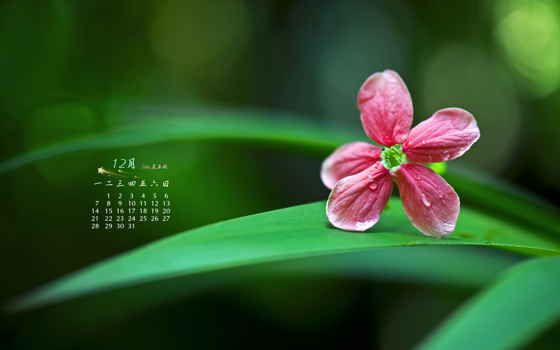 December 2015 Calendar wallpaper (1) #3 - 1920x1200