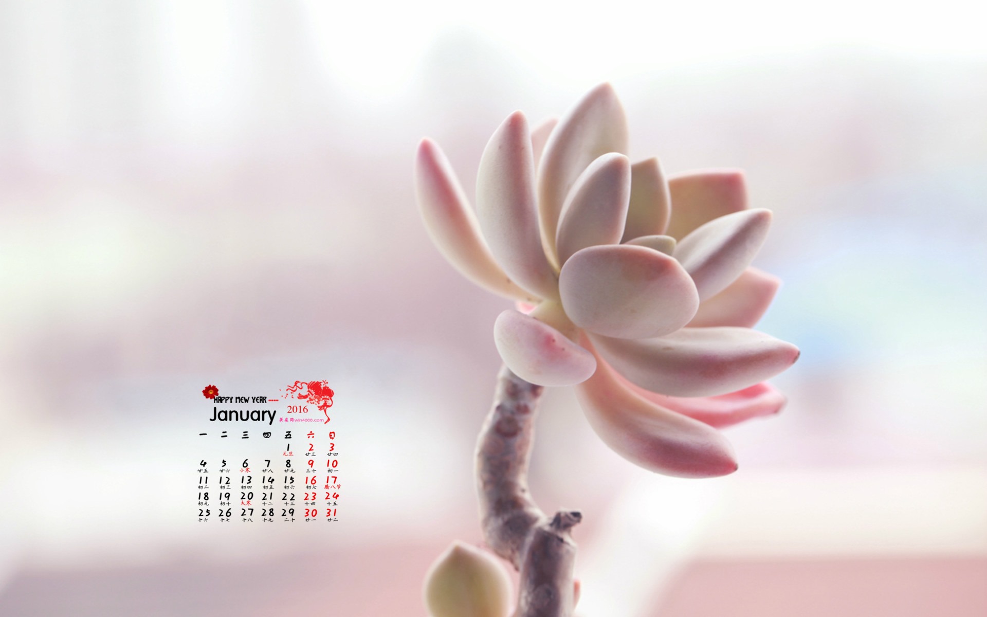 Januar 2016 Kalender Wallpaper (1) #4 - 1920x1200