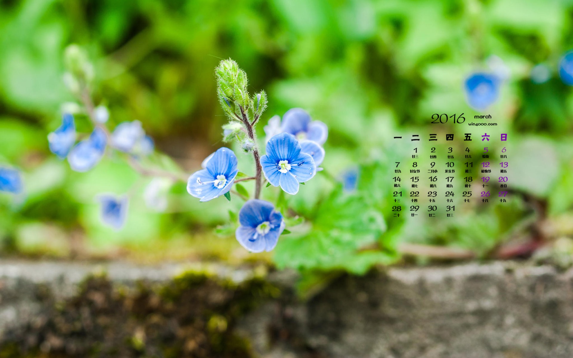 2016年3月 月曆壁紙(一) #10 - 1920x1200